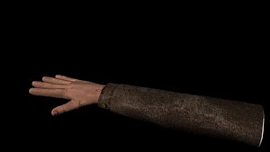 First Person Shooter Arm
