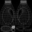 Downy Bottle
