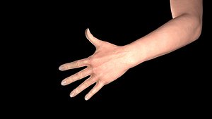 Female Hand Rigged