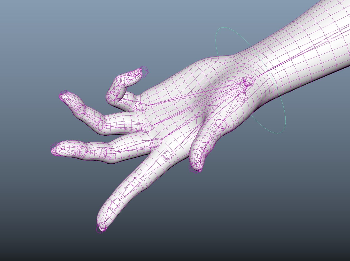3D hand rigged https://p.turbosquid.com/ts-thumb/Ax/xD40jp/J5izx1zW/hand_10s/jpg/1571834019/1920x1080/fit_q87/69f65c9b773da991be241eab9ee66d1bc4923b90/hand_10s.jpg