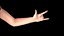 Female Hand Rigged