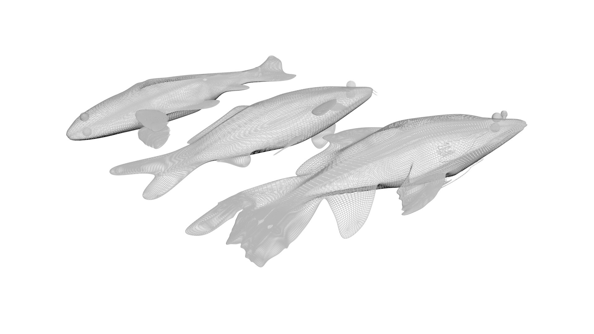3D Sea Creatures Collection https://p.turbosquid.com/ts-thumb/Ay/DhXSB9/1d/koifishessetnew16/jpg/1718303065/1920x1080/fit_q87/4dd563499c2458ee1f3eeacdd1a9132ec30704a8/koifishessetnew16.jpg
