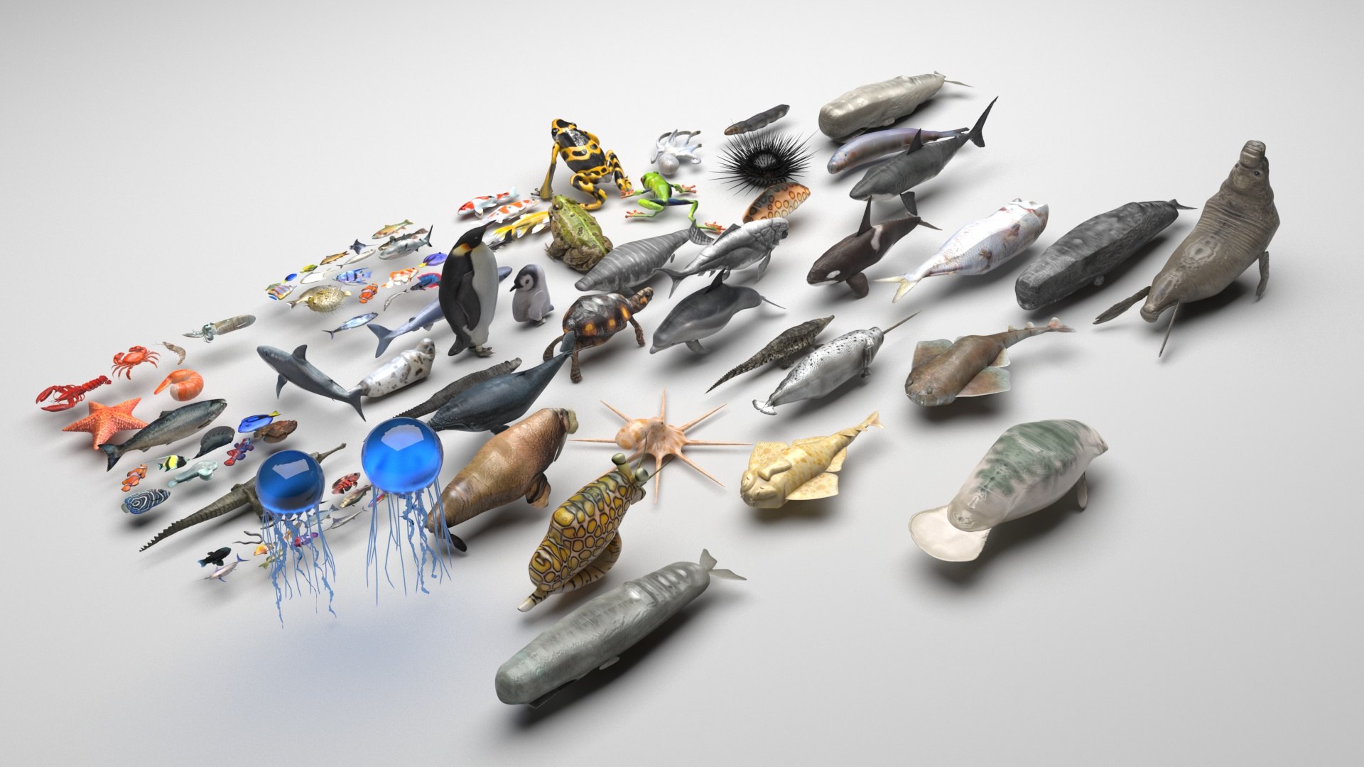 3D Sea Creatures Collection https://p.turbosquid.com/ts-thumb/Ay/DhXSB9/4l/seacreaturescollectionnew/jpg/1718302642/1920x1080/fit_q87/aa2a497752091443a73da74b87d4a03c156d2422/seacreaturescollectionnew.jpg