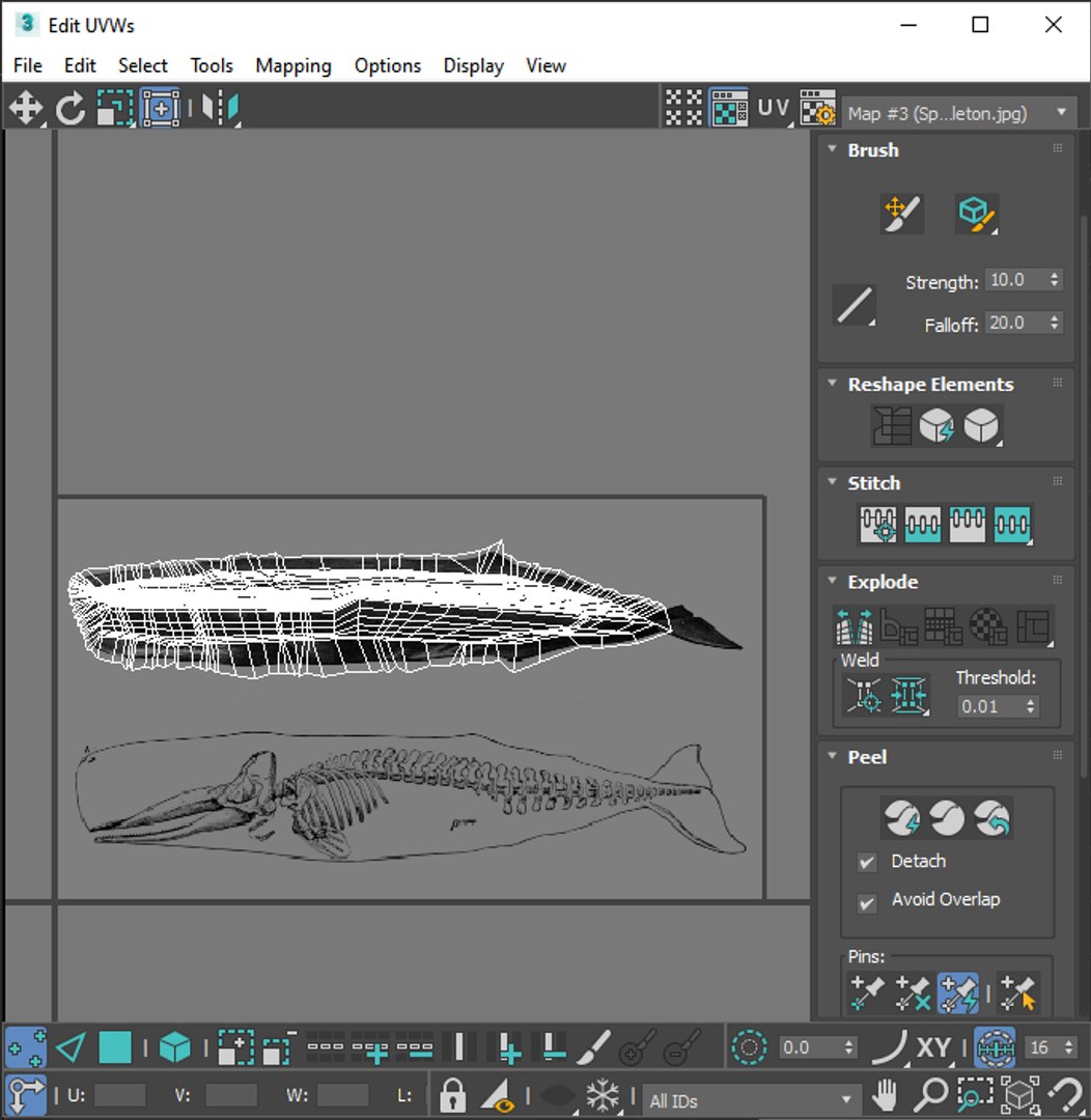 3D Sea Creatures Collection https://p.turbosquid.com/ts-thumb/Ay/DhXSB9/8H/screenshot20230701005858/png/1718303338/1920x1080/fit_q87/8040b2c0e212025e1b8ad897571436031f70fd2d/screenshot20230701005858.jpg