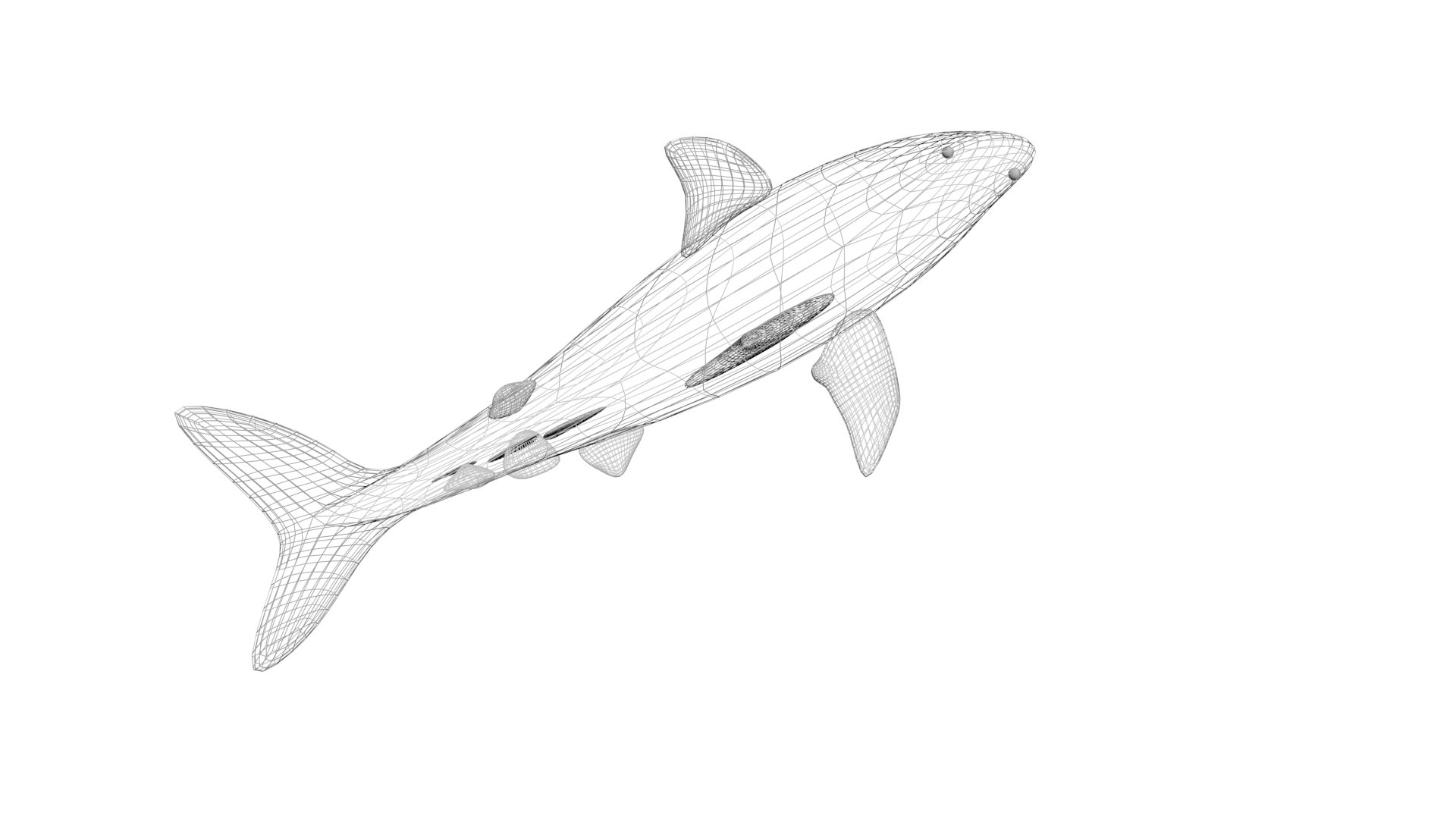 3D Sea Creatures Collection https://p.turbosquid.com/ts-thumb/Ay/DhXSB9/BE/shark21/jpg/1658833887/1920x1080/fit_q87/d4d28d40e24466de1978da76e11f8c8c05e23534/shark21.jpg