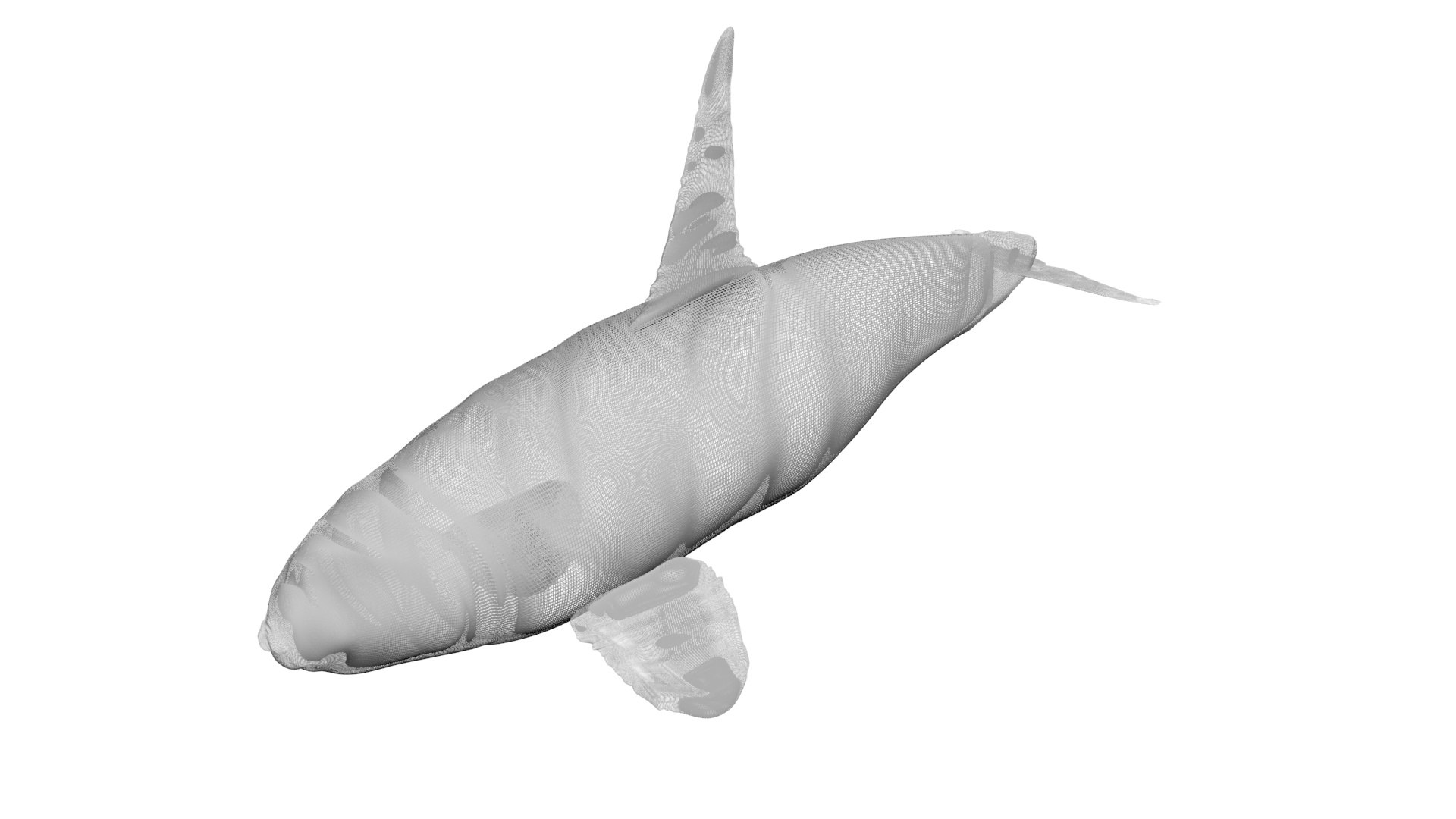 3D Sea Creatures Collection https://p.turbosquid.com/ts-thumb/Ay/DhXSB9/BK/orcawhale15/jpg/1718302838/1920x1080/fit_q87/cdb7cbe0c22aefdda6f845d87556b3c92b584051/orcawhale15.jpg