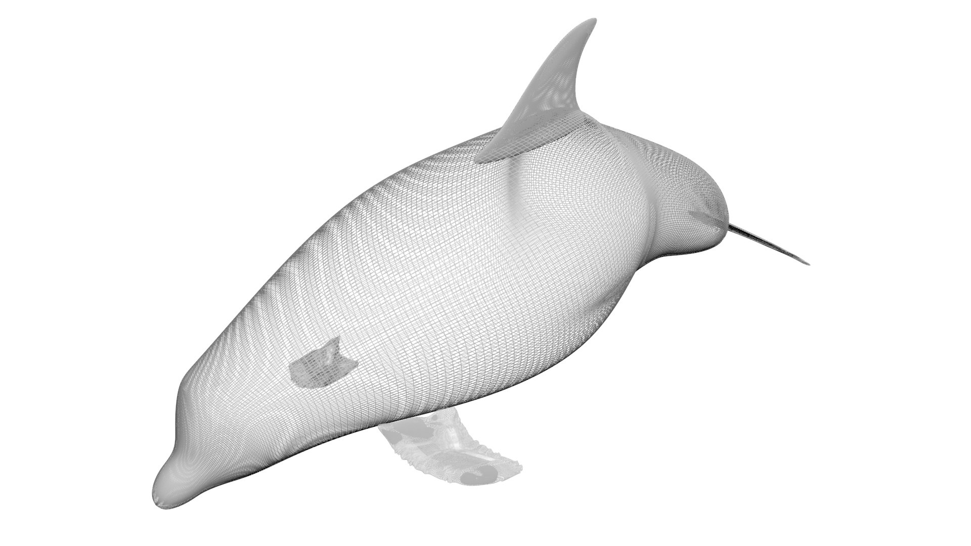 3D Sea Creatures Collection https://p.turbosquid.com/ts-thumb/Ay/DhXSB9/Ba/dolphinnew17/jpg/1718302930/1920x1080/fit_q87/99a7bd584a57052a7436ab66b1637cb0c1c6652e/dolphinnew17.jpg