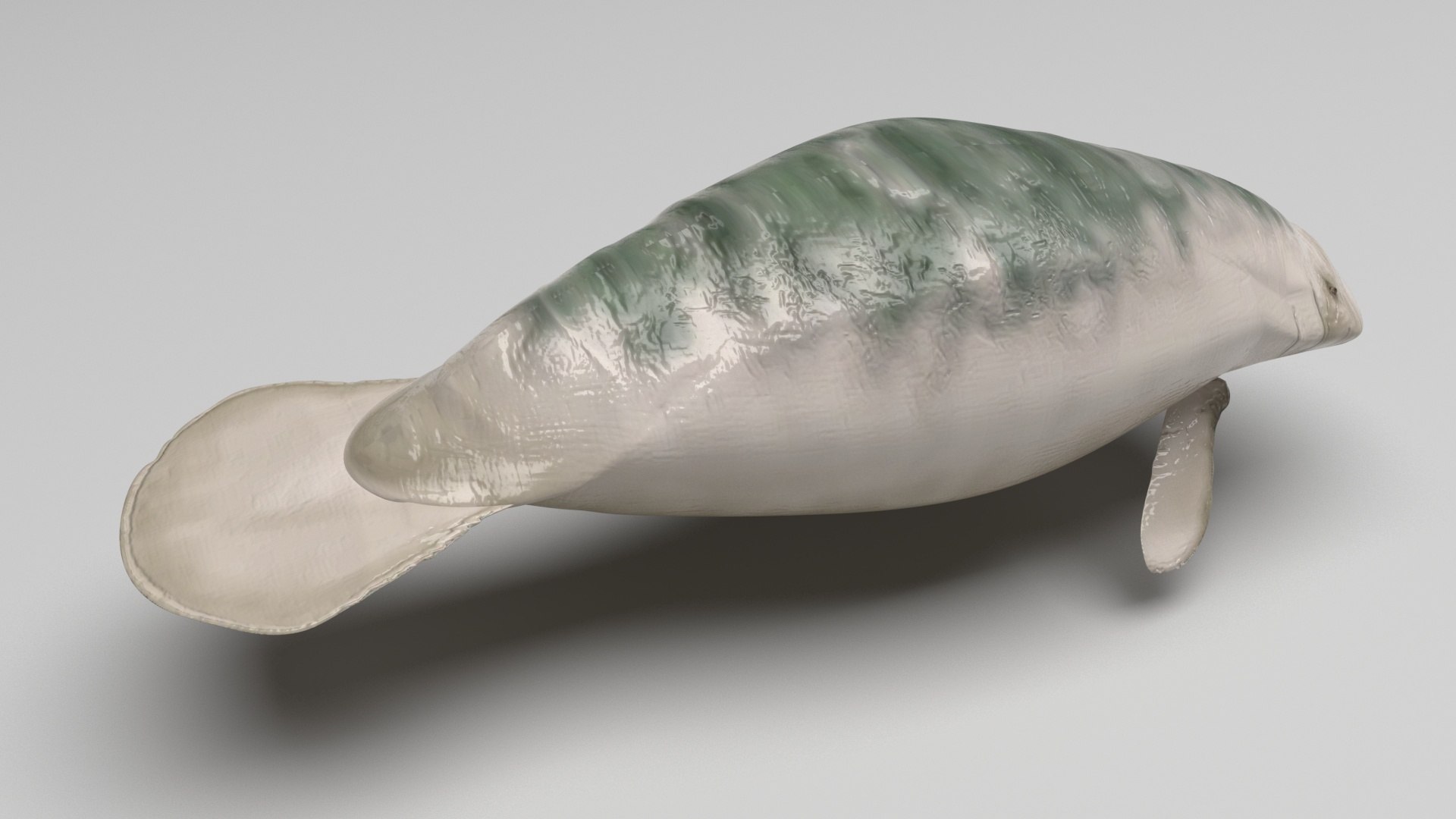 3D Sea Creatures Collection https://p.turbosquid.com/ts-thumb/Ay/DhXSB9/By/manatee/jpg/1718302671/1920x1080/fit_q87/3bc8a3fb0e69e0db5e0ddef3d94bbd03680fc189/manatee.jpg