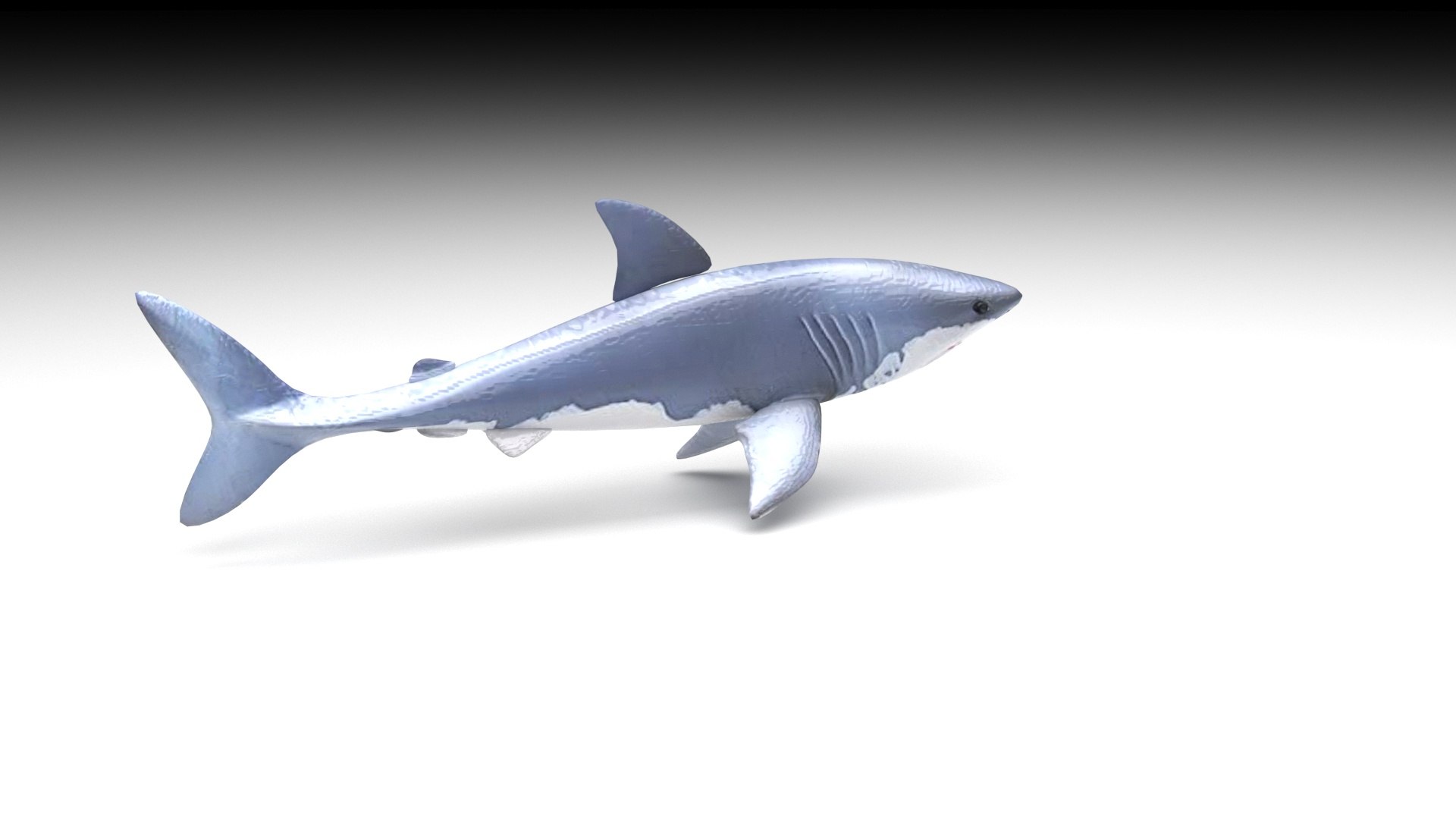 3D Sea Creatures Collection https://p.turbosquid.com/ts-thumb/Ay/DhXSB9/Ei/shark/jpg/1658833885/1920x1080/fit_q87/ddcdbea5fa5590f62615c2f99d4766fe40136ea7/shark.jpg