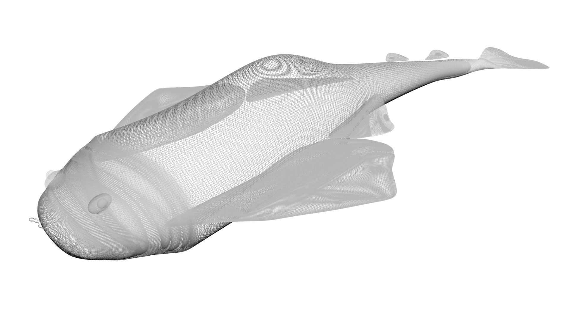 3D Sea Creatures Collection https://p.turbosquid.com/ts-thumb/Ay/DhXSB9/Ff/angelshark18/jpg/1718302741/1920x1080/fit_q87/ec75038aa978e1cbd4f9219b14437707a9e3a7f3/angelshark18.jpg