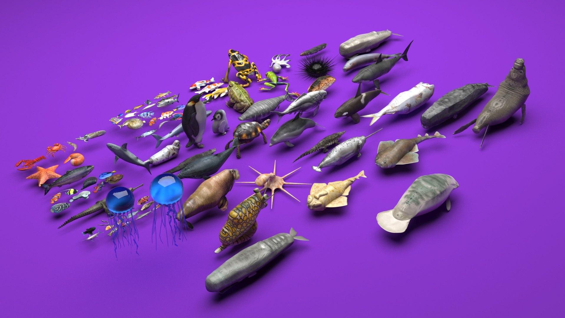 3D Sea Creatures Collection https://p.turbosquid.com/ts-thumb/Ay/DhXSB9/Gi/seacreaturescollectionnew2/jpg/1718302642/1920x1080/fit_q87/c4e24393c42c332a0320289873c3cde9d3c2ea3d/seacreaturescollectionnew2.jpg