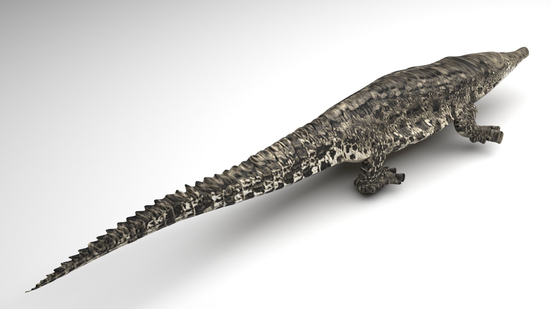 3D Sea Creatures Collection https://p.turbosquid.com/ts-thumb/Ay/DhXSB9/Gu/crocodilenew2/jpg/1718303273/1920x1080/fit_q87/4ae9519346d0182587a3c71be5b3e88e9f4c479c/crocodilenew2.jpg