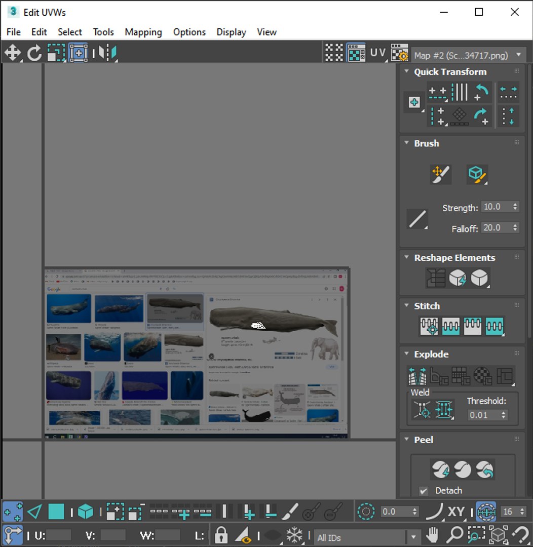 3D Sea Creatures Collection https://p.turbosquid.com/ts-thumb/Ay/DhXSB9/Ig/screenshot20230701215744/png/1718303351/1920x1080/fit_q87/ff66c201430c6dd7f2a89af961f35c14be270205/screenshot20230701215744.jpg