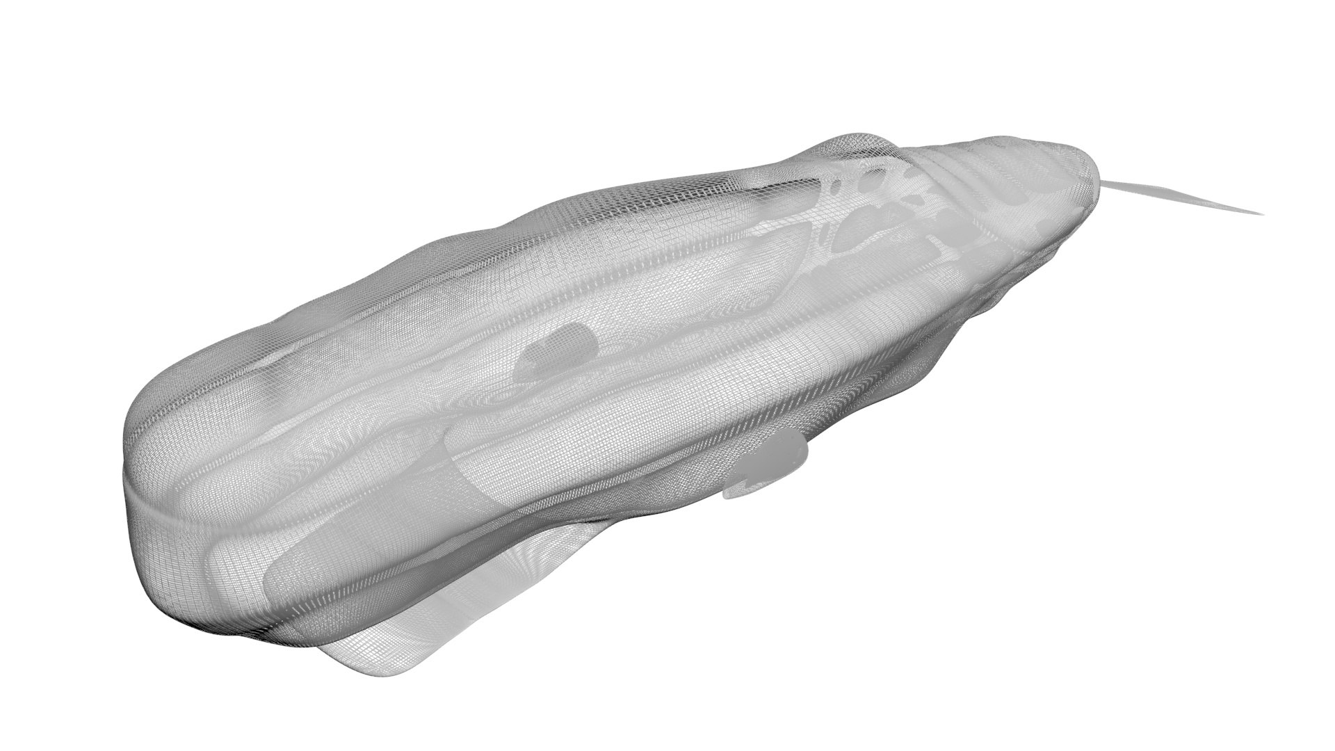 3D Sea Creatures Collection https://p.turbosquid.com/ts-thumb/Ay/DhXSB9/JC/cachalote18/jpg/1718302692/1920x1080/fit_q87/4b48157d6017ee49a85ea852962f7c762d6c35ae/cachalote18.jpg