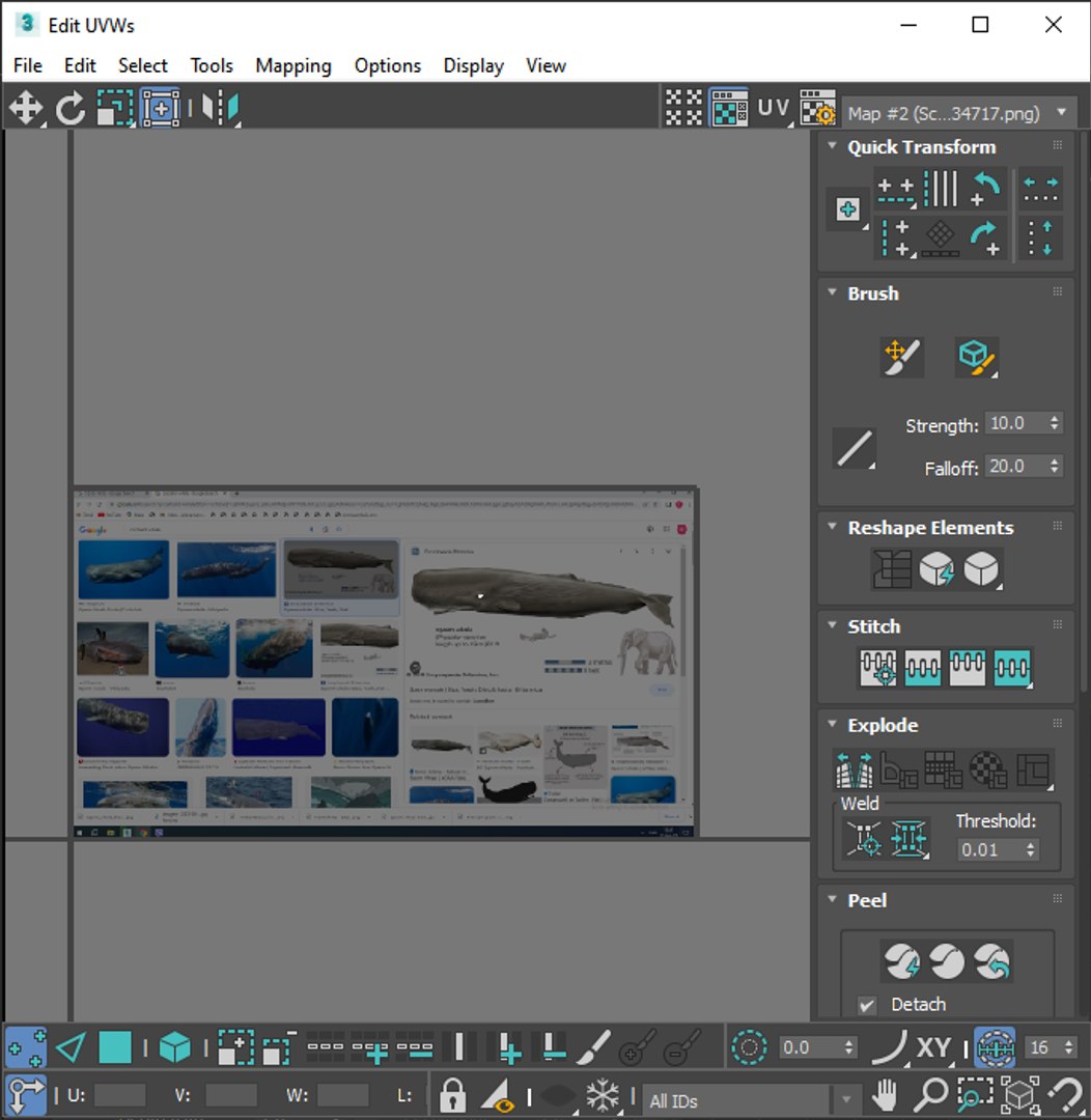 3D Sea Creatures Collection https://p.turbosquid.com/ts-thumb/Ay/DhXSB9/Kn/screenshot20230701215219/png/1718303351/1920x1080/fit_q87/82a5f4b0659f38c9fcdfd856daec3586632b36cc/screenshot20230701215219.jpg