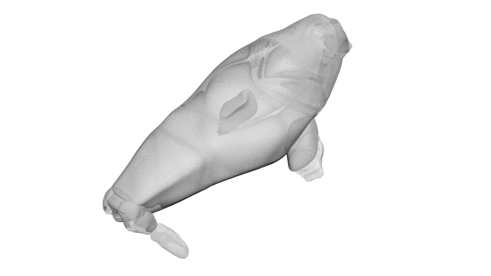 3D Sea Creatures Collection https://p.turbosquid.com/ts-thumb/Ay/DhXSB9/L9/walrusnew24/jpg/1718302975/1920x1080/fit_q87/361315932ef18641f0258f7a52f34f93b211e5c7/walrusnew24.jpg