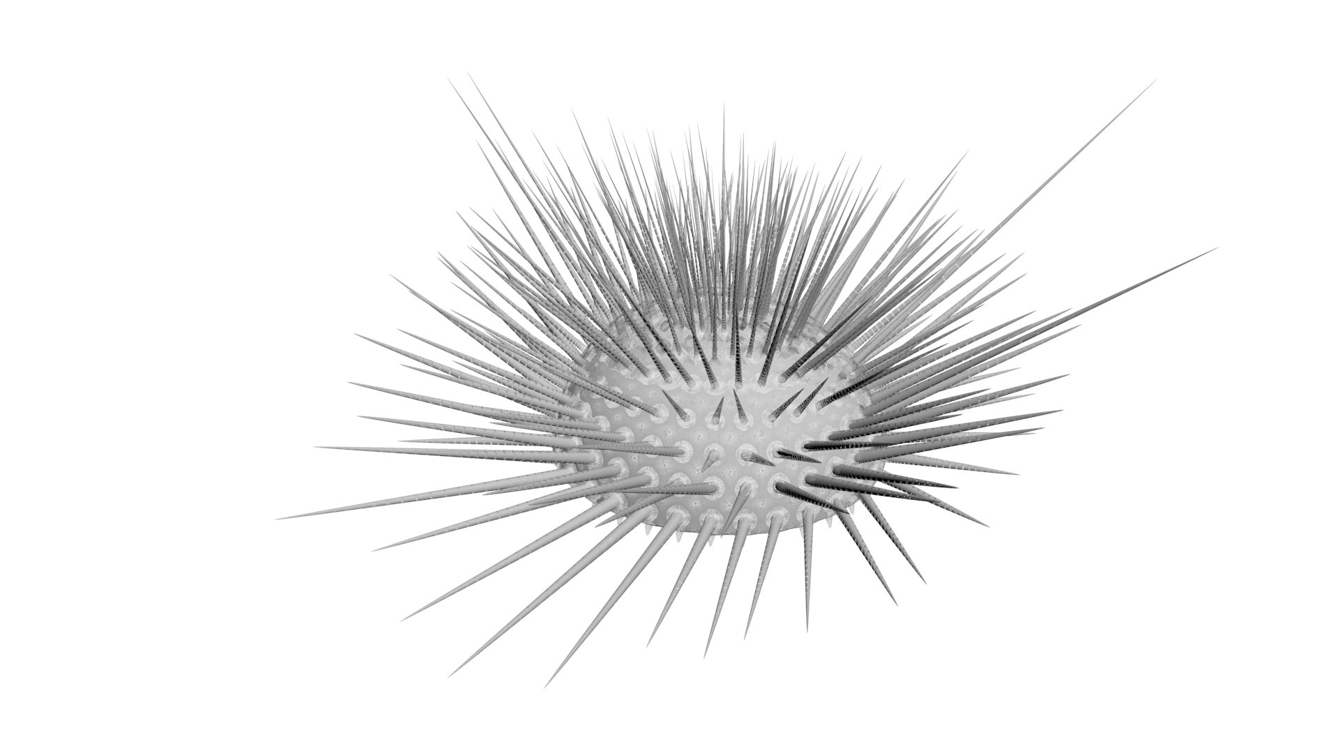 3D Sea Creatures Collection https://p.turbosquid.com/ts-thumb/Ay/DhXSB9/LX/seauchin21/jpg/1718302845/1920x1080/fit_q87/61421450cea743fa37e4a131f2f1dba2ece8ba7d/seauchin21.jpg