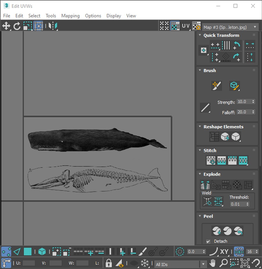 3D Sea Creatures Collection https://p.turbosquid.com/ts-thumb/Ay/DhXSB9/Mw/screenshot20230630190003/png/1718303340/1920x1080/fit_q87/b7a9e174e19a5b453d582232c9cec1180814af0a/screenshot20230630190003.jpg