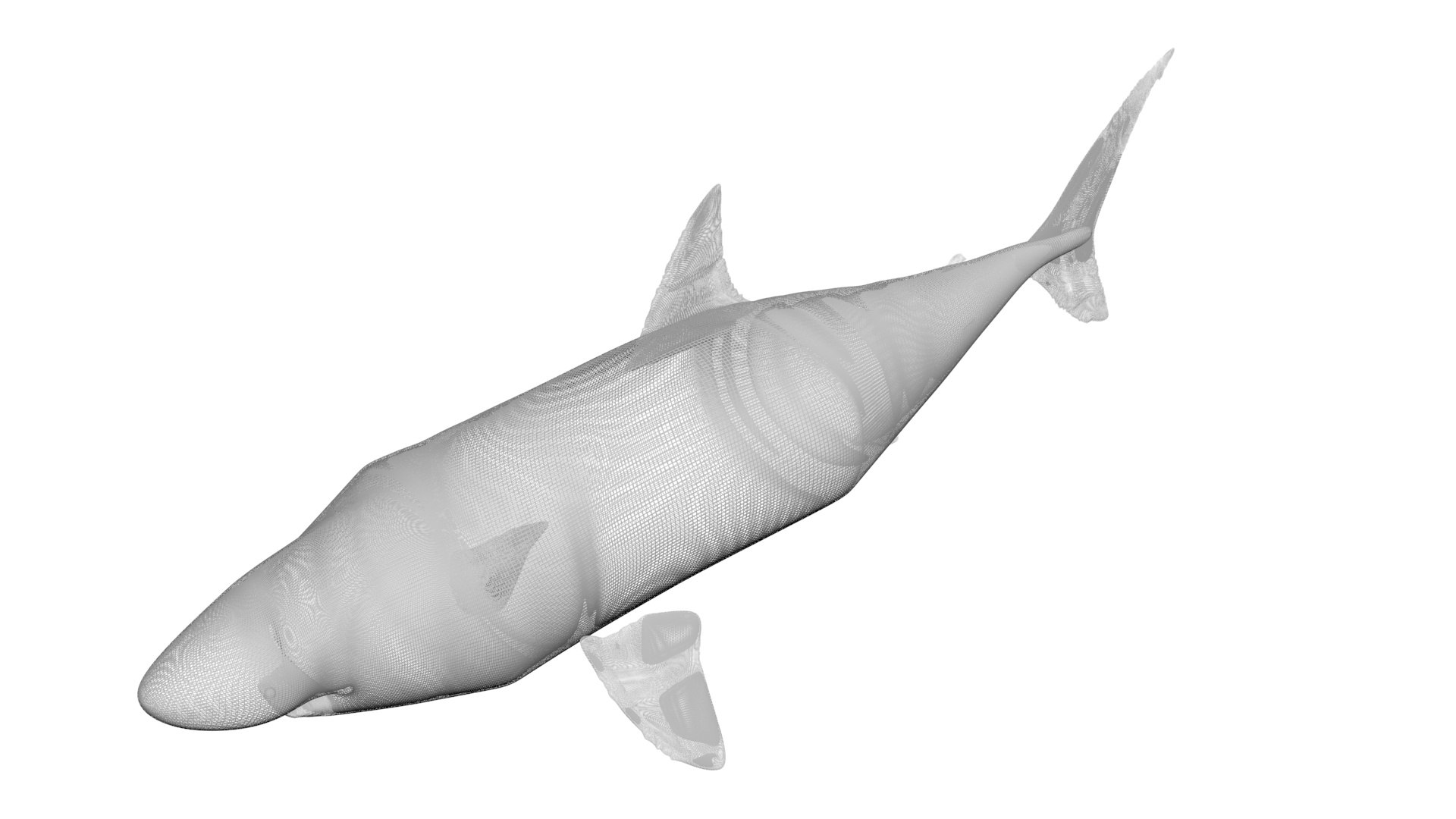 3D Sea Creatures Collection https://p.turbosquid.com/ts-thumb/Ay/DhXSB9/OY/greatwhiteshark20/jpg/1718302829/1920x1080/fit_q87/1e4cff4850fc6bea32f7c797aafeb68ea31e0066/greatwhiteshark20.jpg