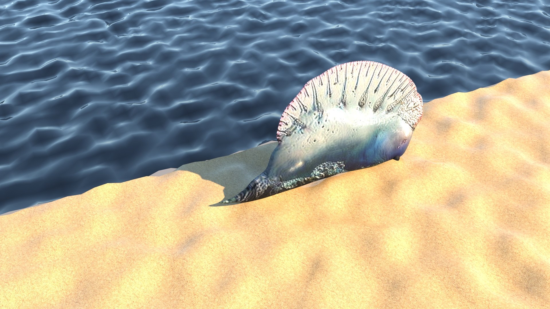 3D Sea Creatures Collection https://p.turbosquid.com/ts-thumb/Ay/DhXSB9/R5/portugueseomanwarscene/jpg/1658834016/1920x1080/fit_q87/eb6aa9dc58cb2ac782a598b06331f826dc9100dd/portugueseomanwarscene.jpg