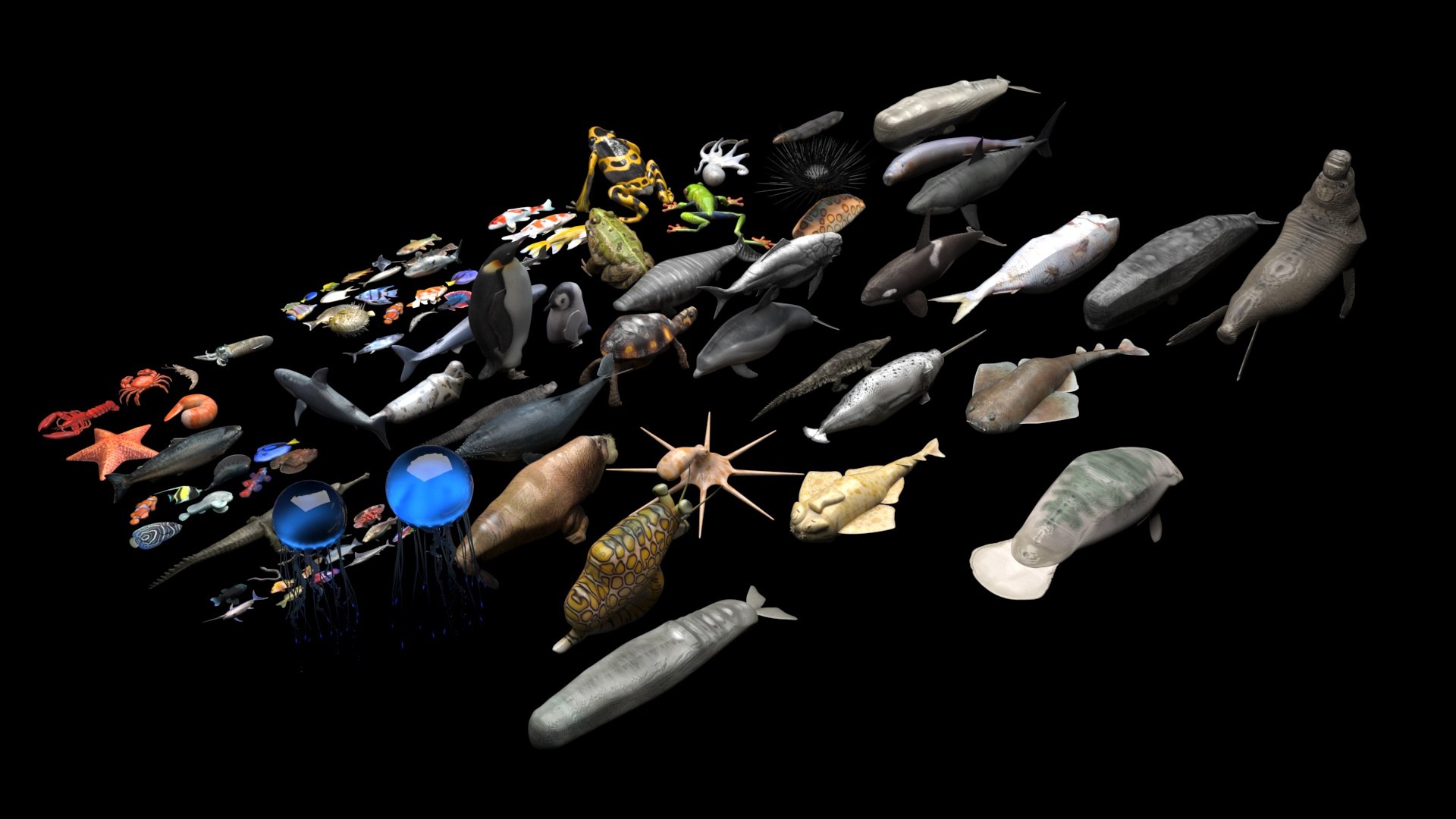 3D Sea Creatures Collection https://p.turbosquid.com/ts-thumb/Ay/DhXSB9/R5/seacreaturescollectionnew3/jpg/1718302642/1920x1080/fit_q87/5b835213a95aafff213079b788275217fa1b9106/seacreaturescollectionnew3.jpg