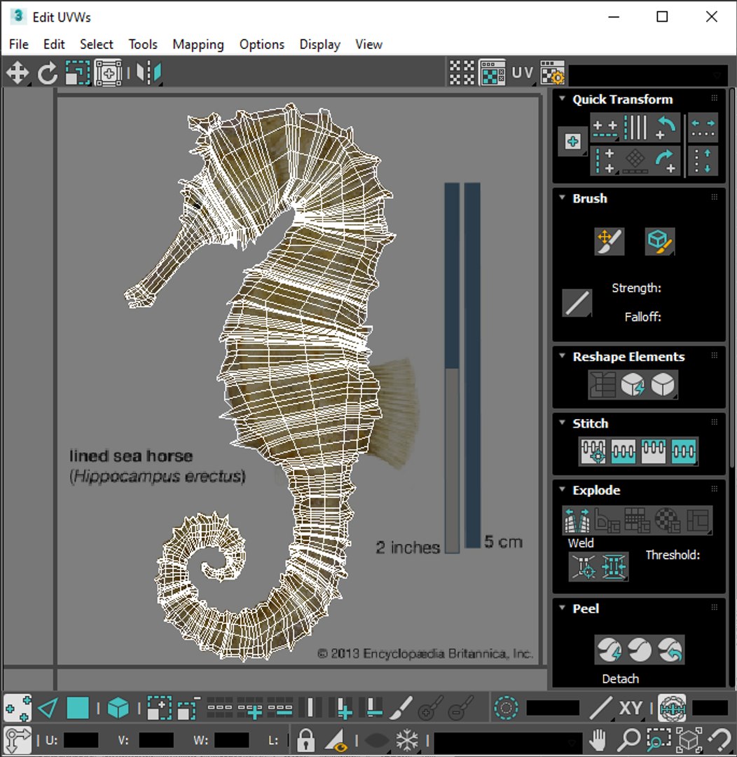 3D Sea Creatures Collection https://p.turbosquid.com/ts-thumb/Ay/DhXSB9/RB/screenshot20220721202922/png/1658834429/1920x1080/fit_q87/d10ccd14ed1a620c7eca049b5ad57a76ffbf0241/screenshot20220721202922.jpg