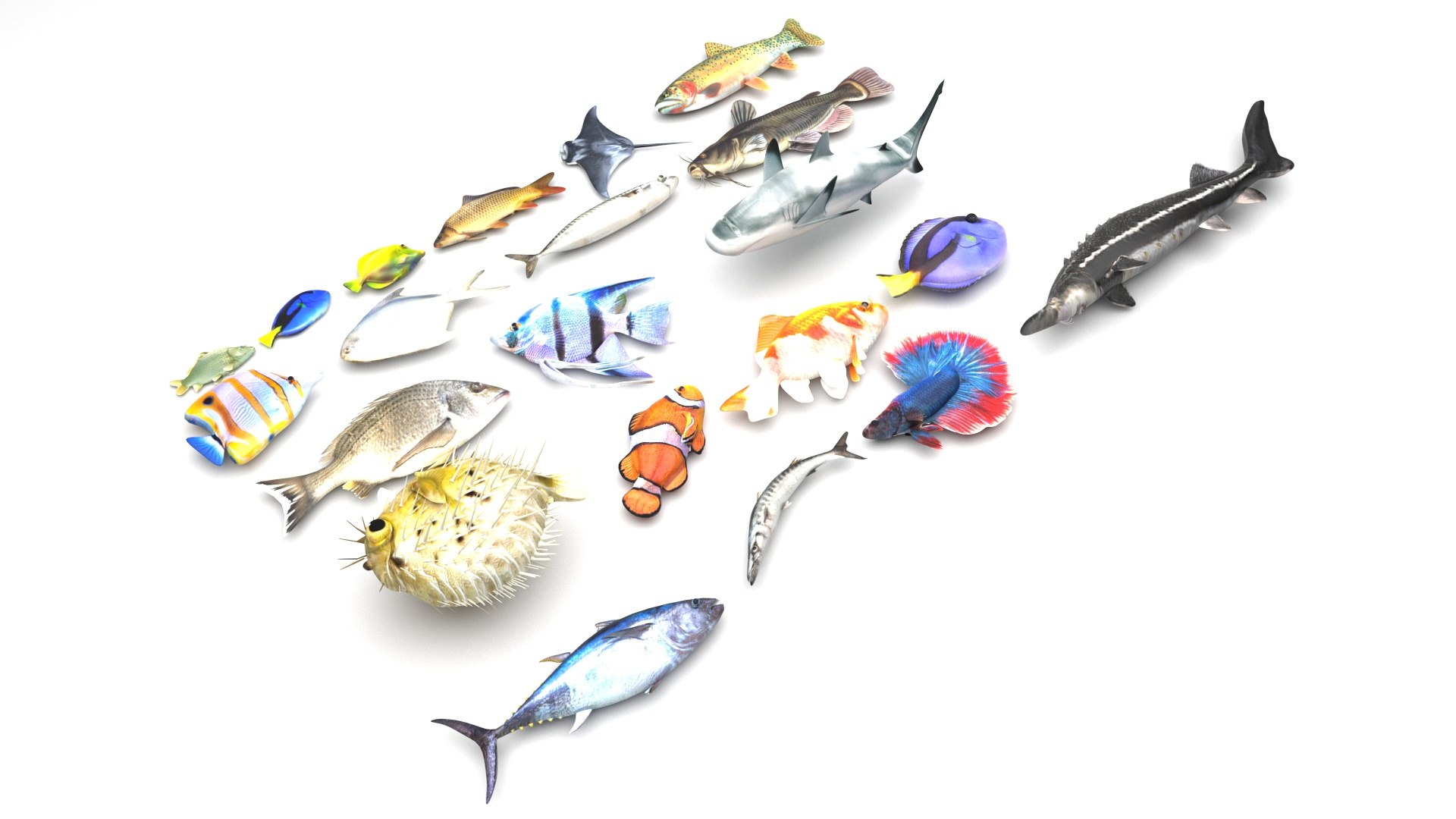 3D Sea Creatures Collection https://p.turbosquid.com/ts-thumb/Ay/DhXSB9/T8/fishesset/jpg/1658833883/1920x1080/fit_q87/688990fb8d15d67b4ff76cb52c769fcc406e7c62/fishesset.jpg