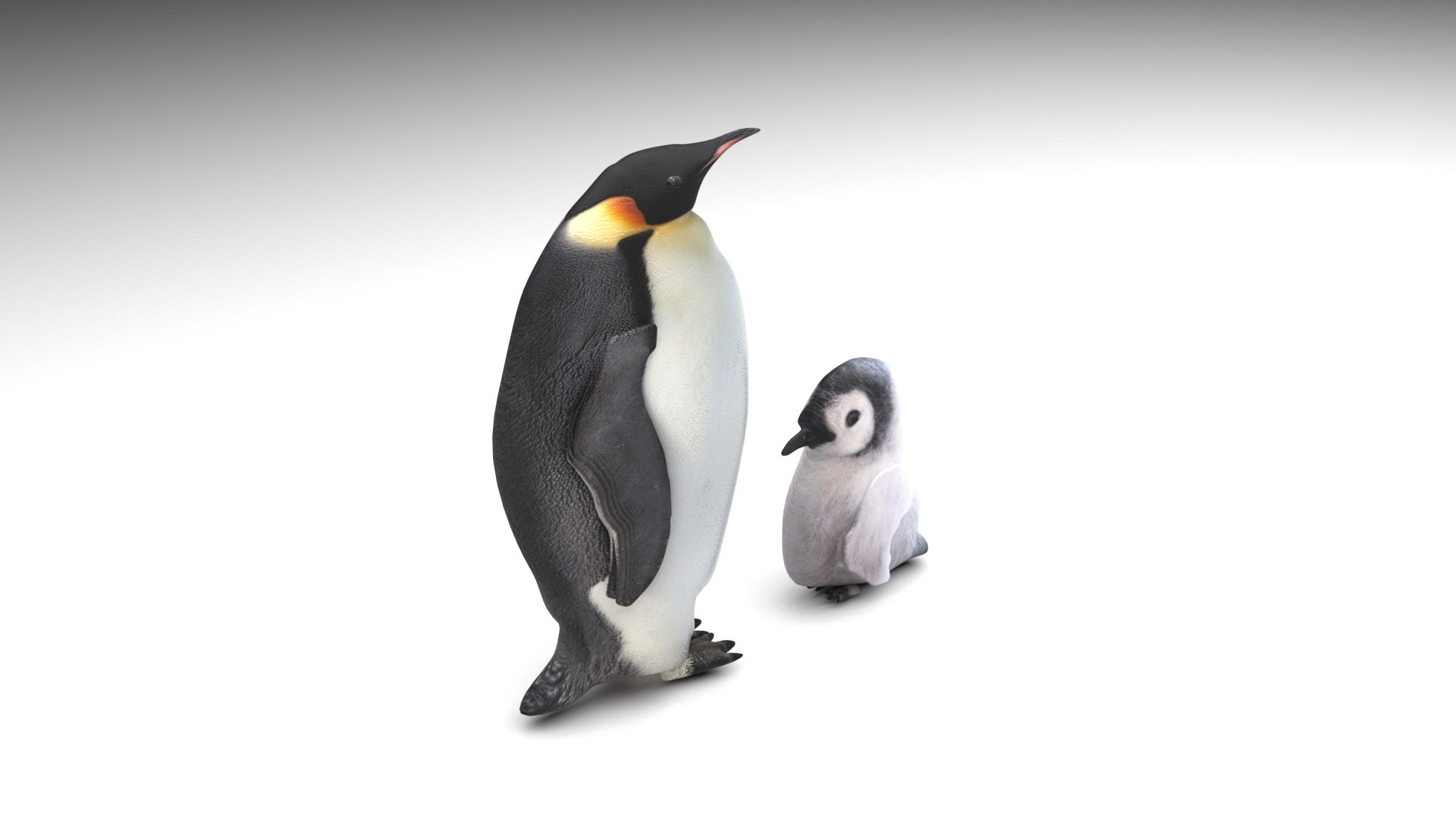 3D Sea Creatures Collection https://p.turbosquid.com/ts-thumb/Ay/DhXSB9/TL/penguinwithbabypenguin/jpg/1658834015/1920x1080/fit_q87/1cf430bafc2e07bbd0403c887043caf9d3777153/penguinwithbabypenguin.jpg