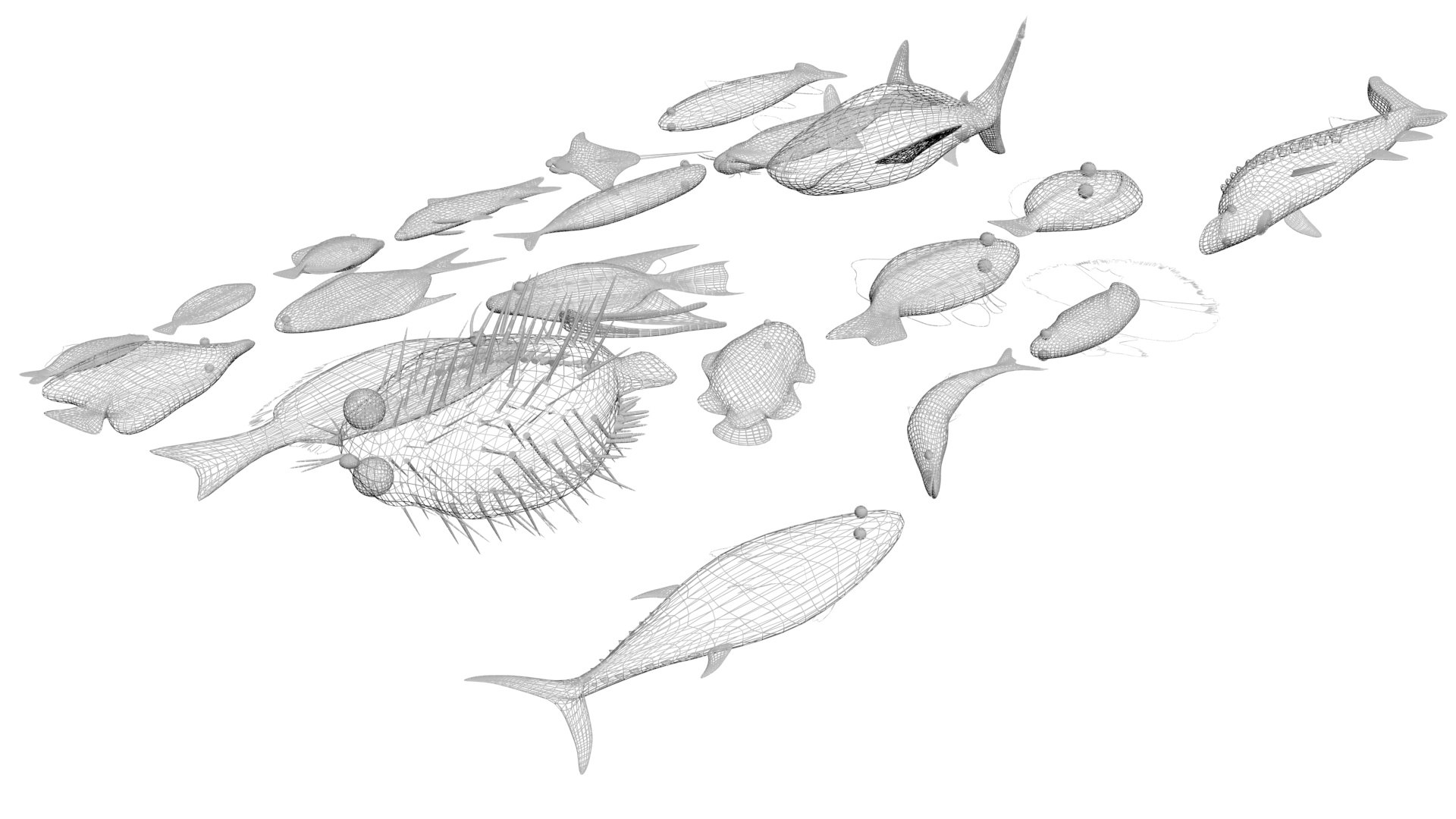 3D Sea Creatures Collection https://p.turbosquid.com/ts-thumb/Ay/DhXSB9/Ti/fishesset59/jpg/1658833883/1920x1080/fit_q87/7758a9f05aab4618dad5768d0b176fcbcf77ae50/fishesset59.jpg