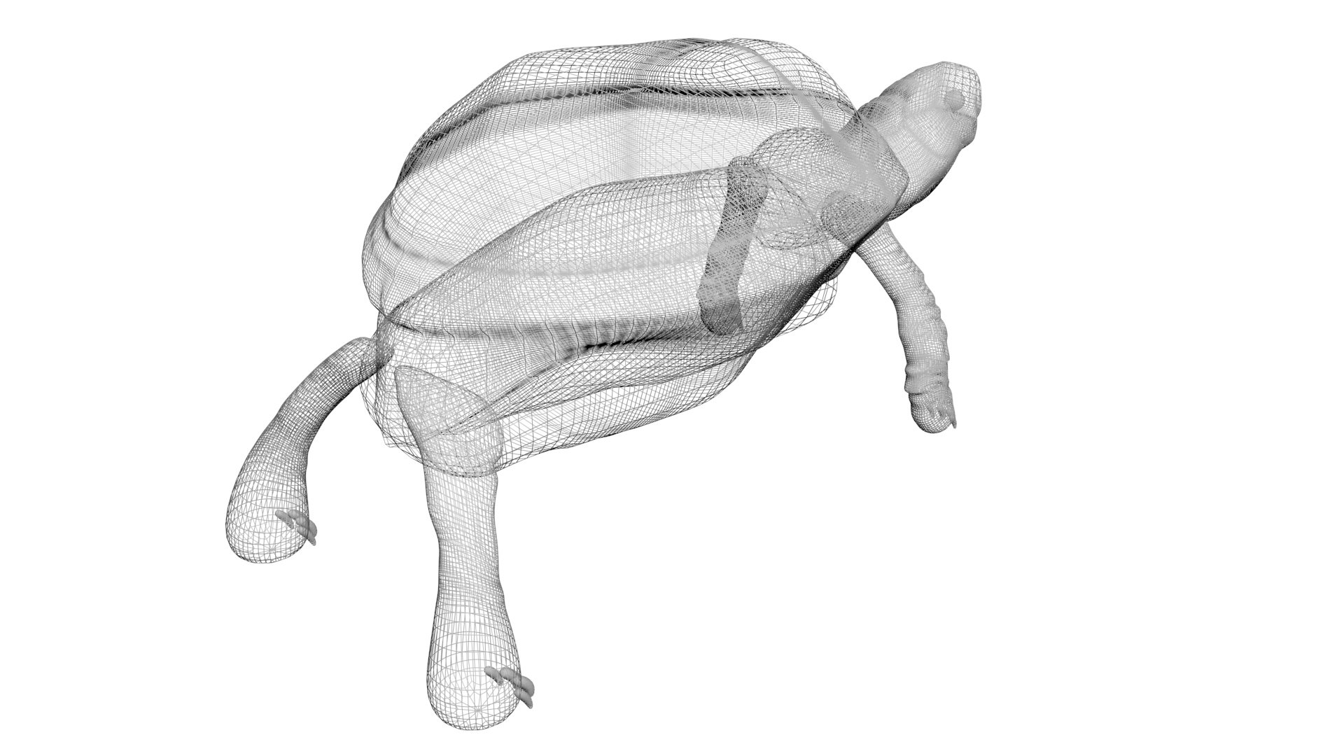 3D Sea Creatures Collection https://p.turbosquid.com/ts-thumb/Ay/DhXSB9/Tz/turtlenew18/jpg/1718303224/1920x1080/fit_q87/ec80ee96ca6e696ce9016a8c7f98d1c71e742904/turtlenew18.jpg