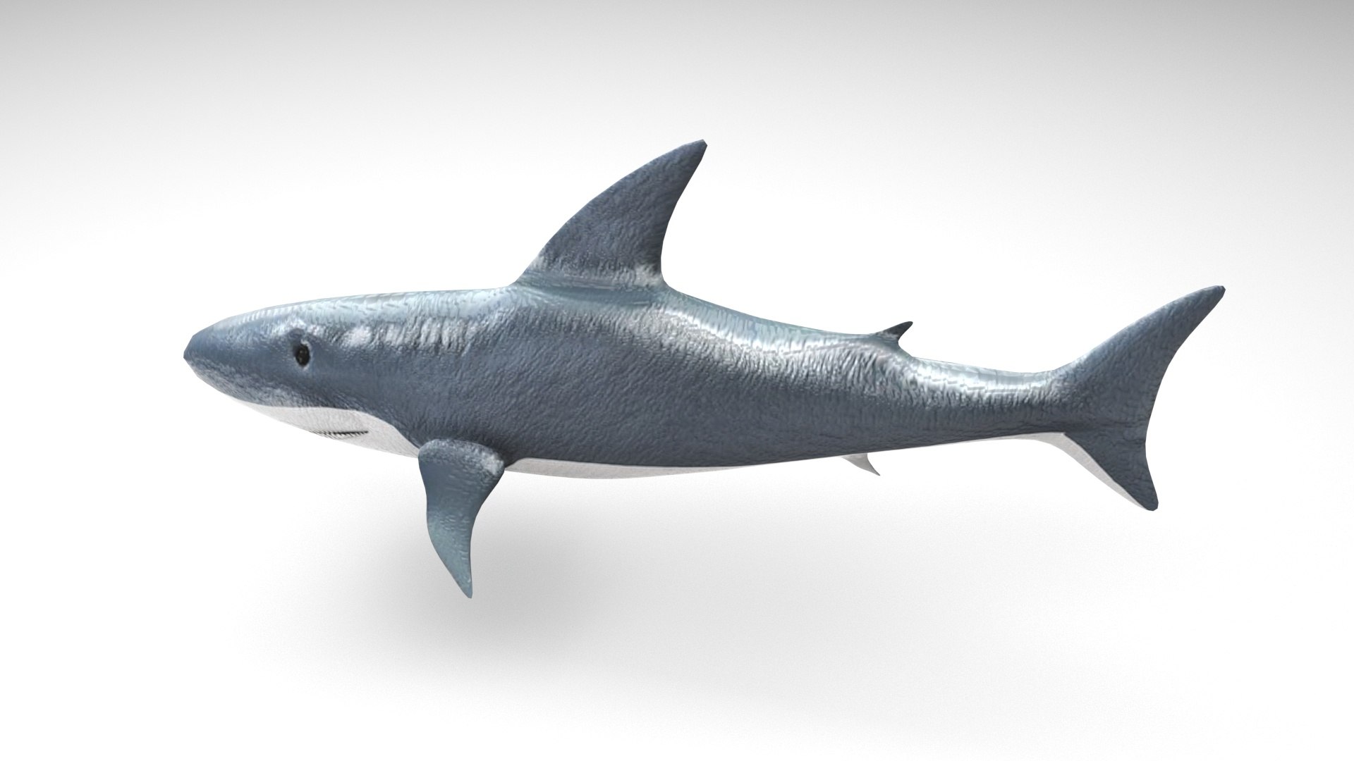 3D Sea Creatures Collection https://p.turbosquid.com/ts-thumb/Ay/DhXSB9/W5/shark2/jpg/1658833887/1920x1080/fit_q87/9854067e6edc6535e9072755a2fbe040f4c68c39/shark2.jpg