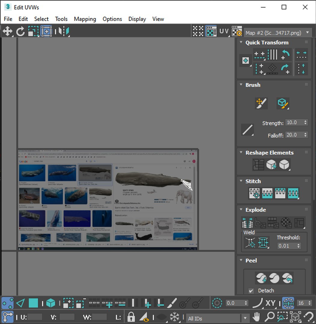 3D Sea Creatures Collection https://p.turbosquid.com/ts-thumb/Ay/DhXSB9/Wq/screenshot20230701214949/png/1718303351/1920x1080/fit_q87/e7cf9751a275757b33787b7c2bff00453287700c/screenshot20230701214949.jpg