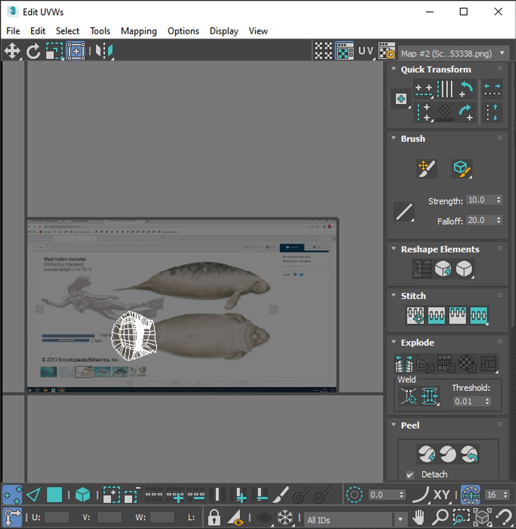 3D Sea Creatures Collection https://p.turbosquid.com/ts-thumb/Ay/DhXSB9/X5/screenshot20230704235658/png/1718303358/1920x1080/fit_q87/11dabfe76c7a9f21bf381bfee6c92d98724b4820/screenshot20230704235658.jpg