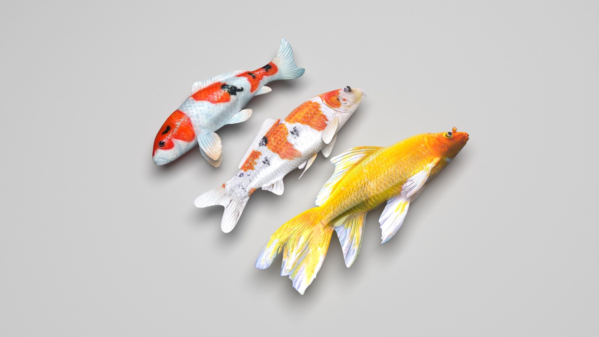 3D Sea Creatures Collection https://p.turbosquid.com/ts-thumb/Ay/DhXSB9/Yp/koifishessetnew/jpg/1718303064/1920x1080/fit_q87/0f29b1db01baedbf829ebbcbad8a9b61cb231a89/koifishessetnew.jpg
