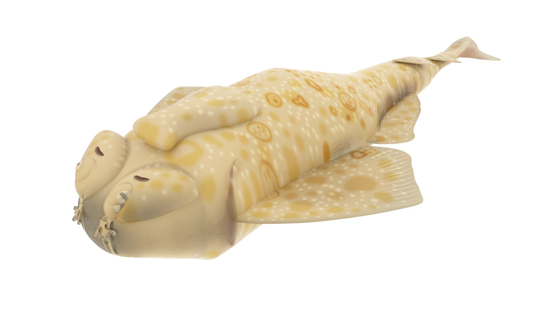 3D Sea Creatures Collection https://p.turbosquid.com/ts-thumb/Ay/DhXSB9/ZC/angelshark/jpg/1718302750/1920x1080/fit_q87/7b879e7e8bc571b5963bb5e320debf78d5dc7225/angelshark.jpg