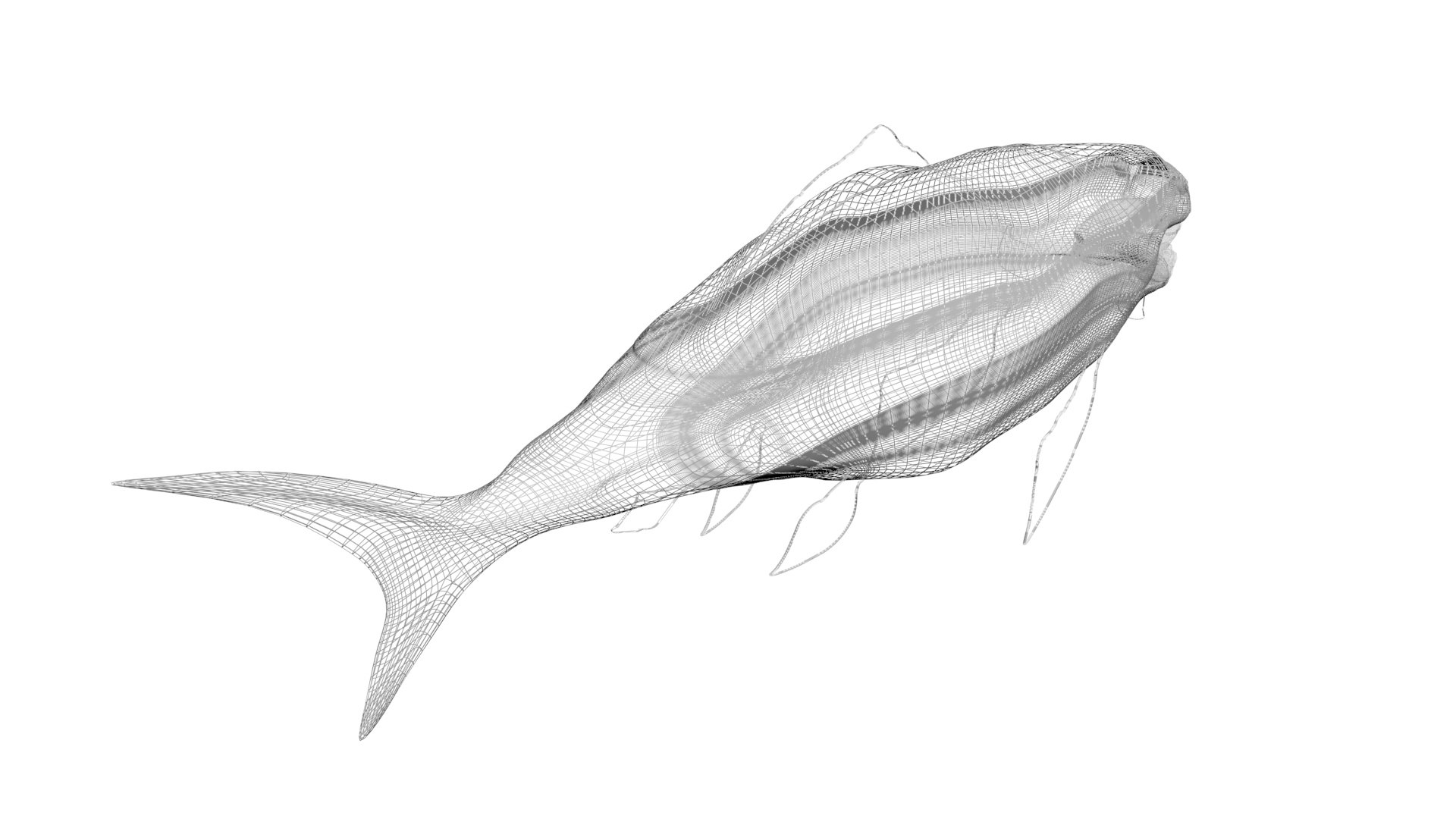 3D Sea Creatures Collection https://p.turbosquid.com/ts-thumb/Ay/DhXSB9/Zr/dunklestousnew16/jpg/1718303202/1920x1080/fit_q87/81c5397ec16dda3562c022990629abe65f32378a/dunklestousnew16.jpg