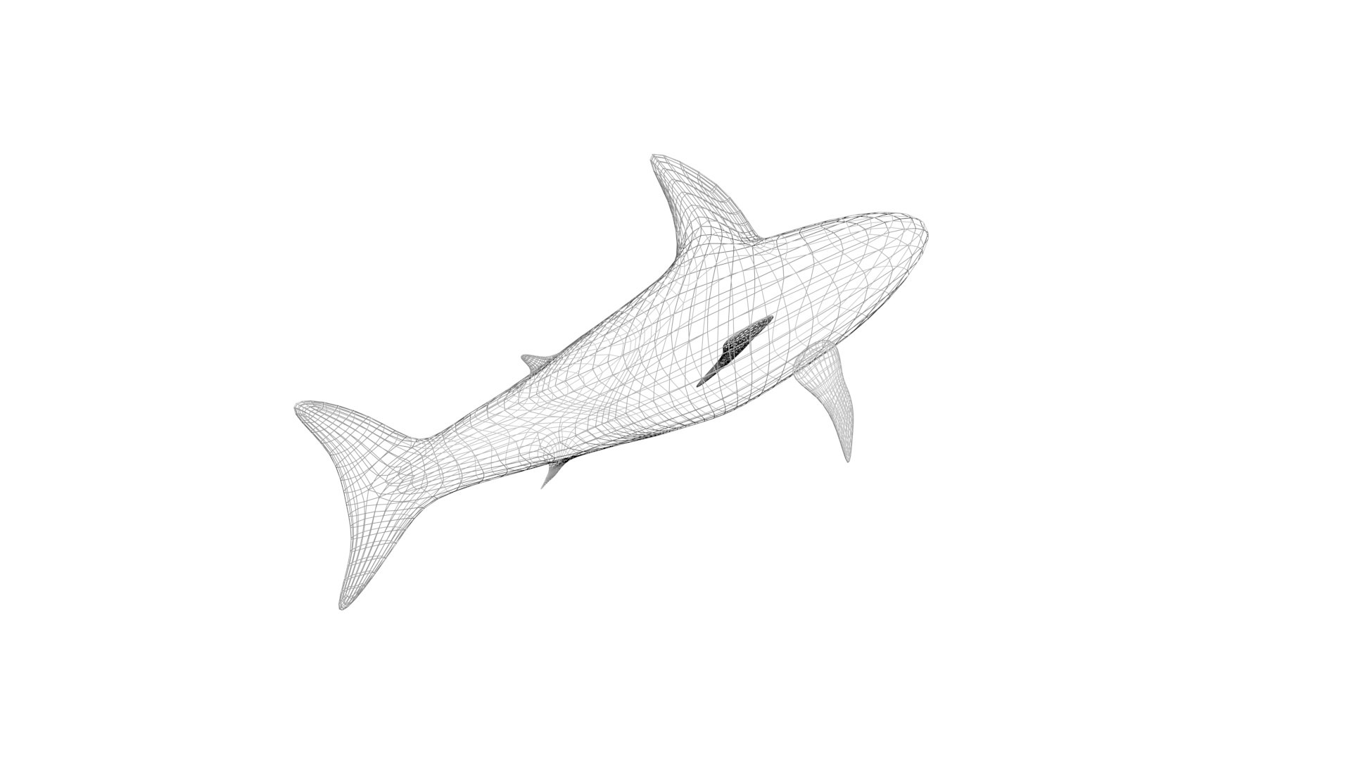 3D Sea Creatures Collection https://p.turbosquid.com/ts-thumb/Ay/DhXSB9/bY/shark30/jpg/1658833883/1920x1080/fit_q87/9073d7c3bddfafd37b46c17b481c0c4d1011cef0/shark30.jpg