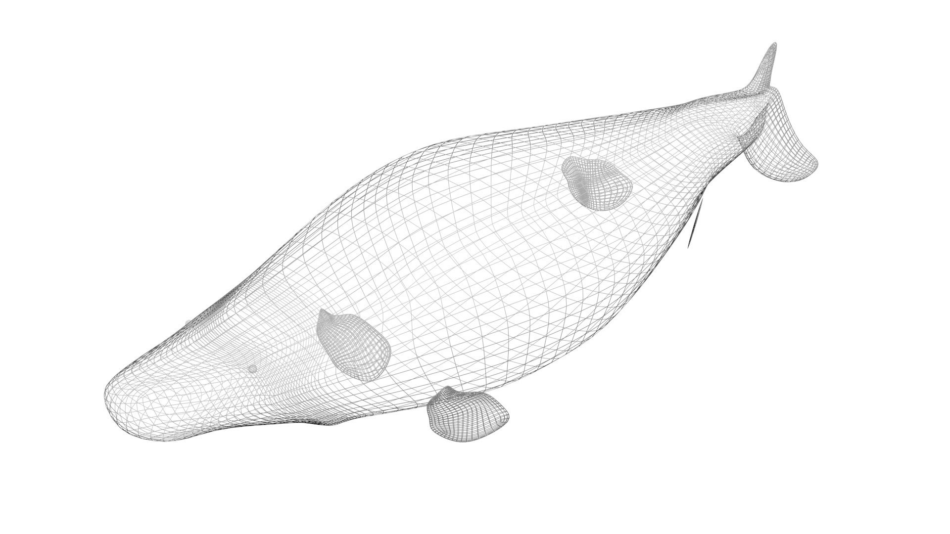 3D Sea Creatures Collection https://p.turbosquid.com/ts-thumb/Ay/DhXSB9/cH/mosasaurusnew25/jpg/1718303187/1920x1080/fit_q87/f8dd571182cfb3e028241b6c7928a53aae2965b5/mosasaurusnew25.jpg