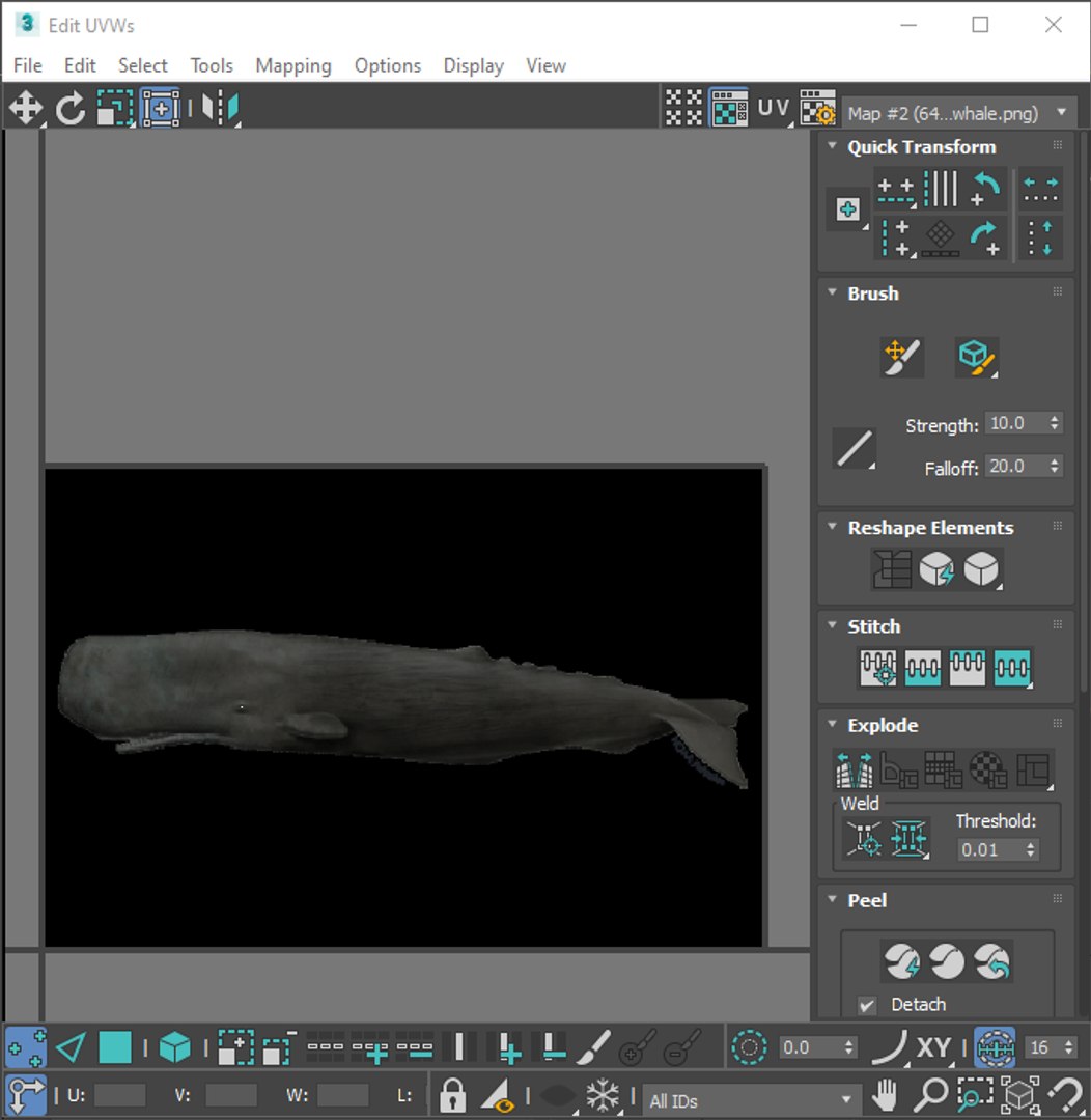 3D Sea Creatures Collection https://p.turbosquid.com/ts-thumb/Ay/DhXSB9/dM/screenshot20230630111926/png/1718303340/1920x1080/fit_q87/45b24b0609dfb5dffb67134eaed33f409f1a19d0/screenshot20230630111926.jpg