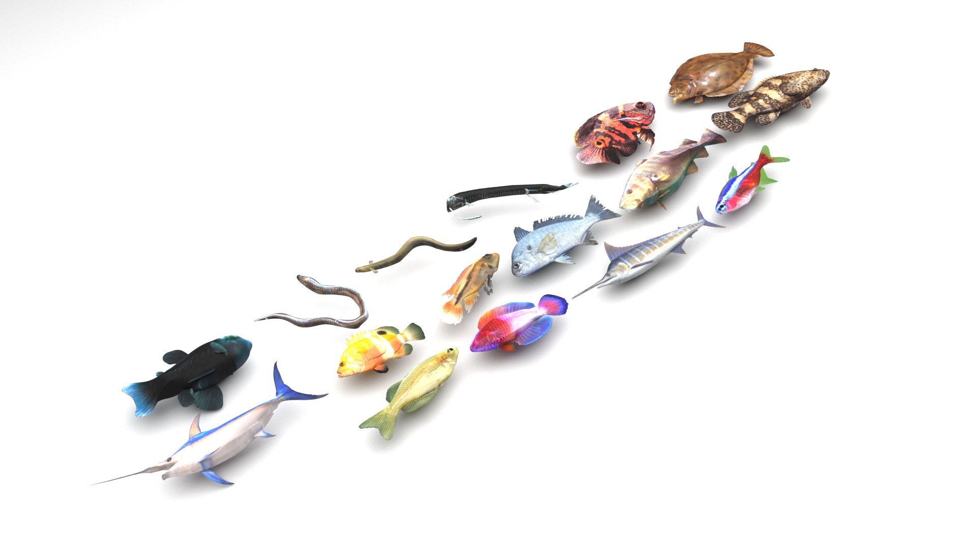 3D Sea Creatures Collection https://p.turbosquid.com/ts-thumb/Ay/DhXSB9/eX/fishesset2/jpg/1658834152/1920x1080/fit_q87/b3e38586a7a1a4df9d43c6bc0ee178c997380d47/fishesset2.jpg