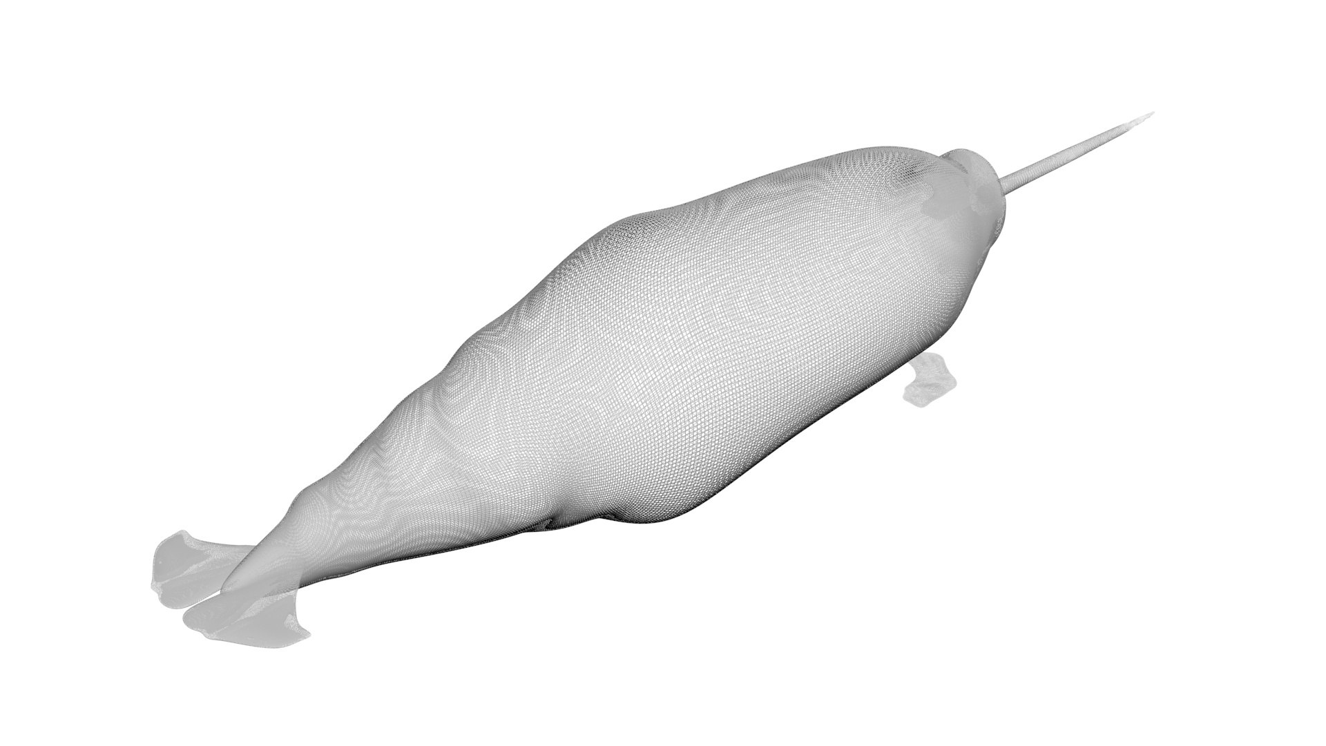 3D Sea Creatures Collection https://p.turbosquid.com/ts-thumb/Ay/DhXSB9/fi/narwhal14/jpg/1718302772/1920x1080/fit_q87/4f84b522c594dfefd414a9ba421fd28ce7150d4e/narwhal14.jpg