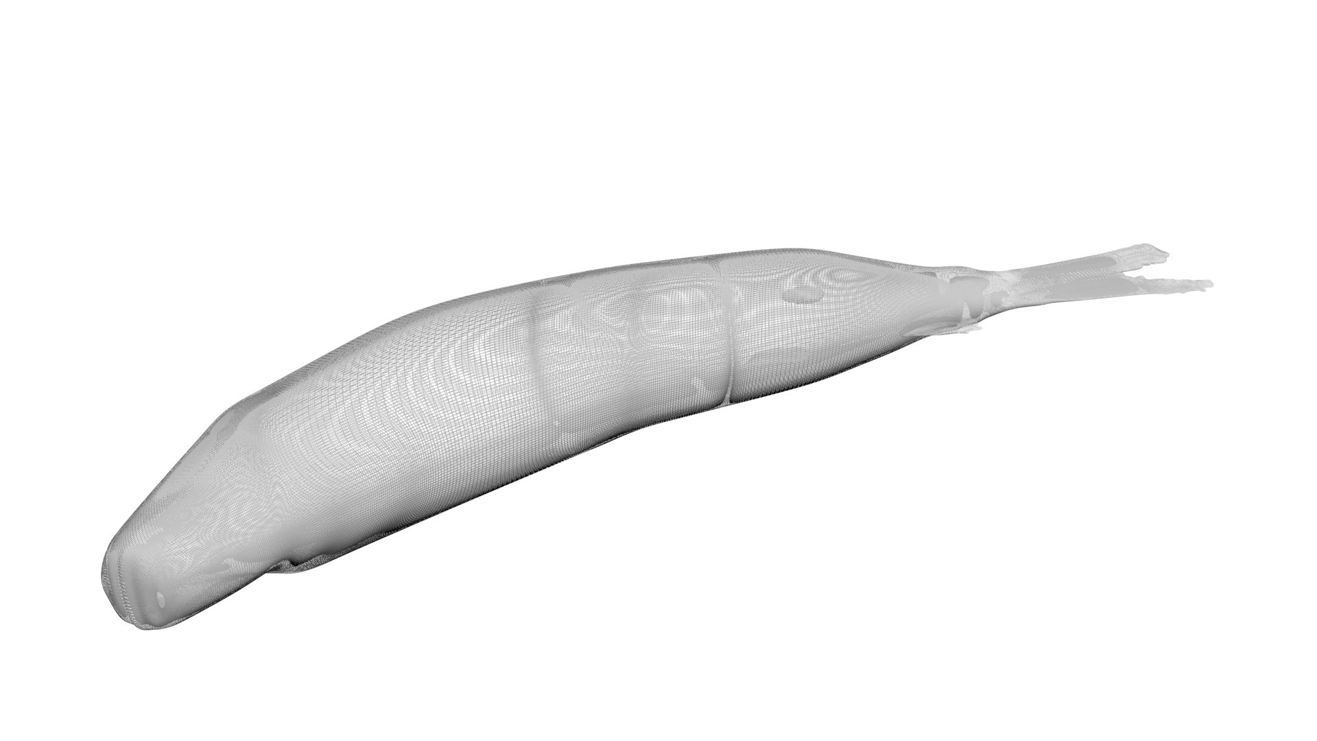 3D Sea Creatures Collection https://p.turbosquid.com/ts-thumb/Ay/DhXSB9/gV/carrionfish13/jpg/1718302817/1920x1080/fit_q87/35707ffa36aa2215055f89912a2b33d4731914e8/carrionfish13.jpg