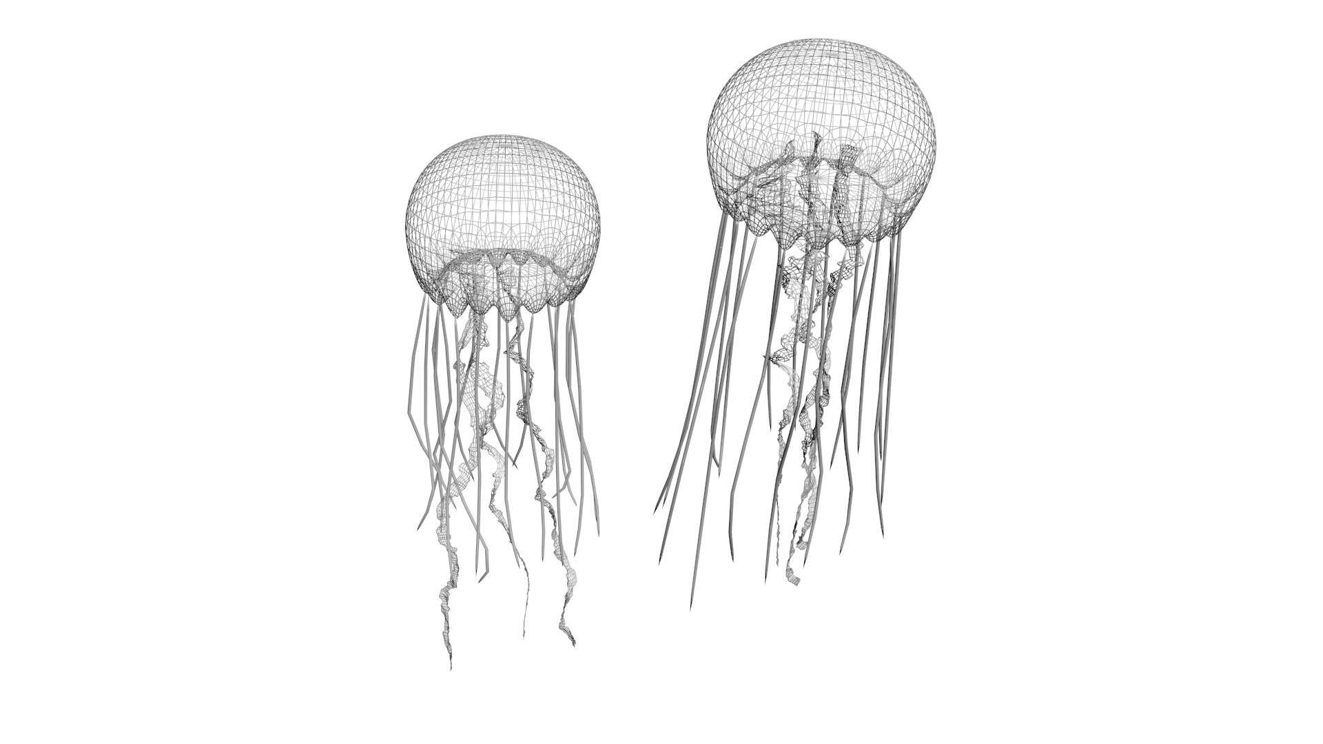 3D Sea Creatures Collection https://p.turbosquid.com/ts-thumb/Ay/DhXSB9/h8/jellyfishnew21/jpg/1718303179/1920x1080/fit_q87/45573e17de8fc4475a7852c6f45538580f8d66d9/jellyfishnew21.jpg