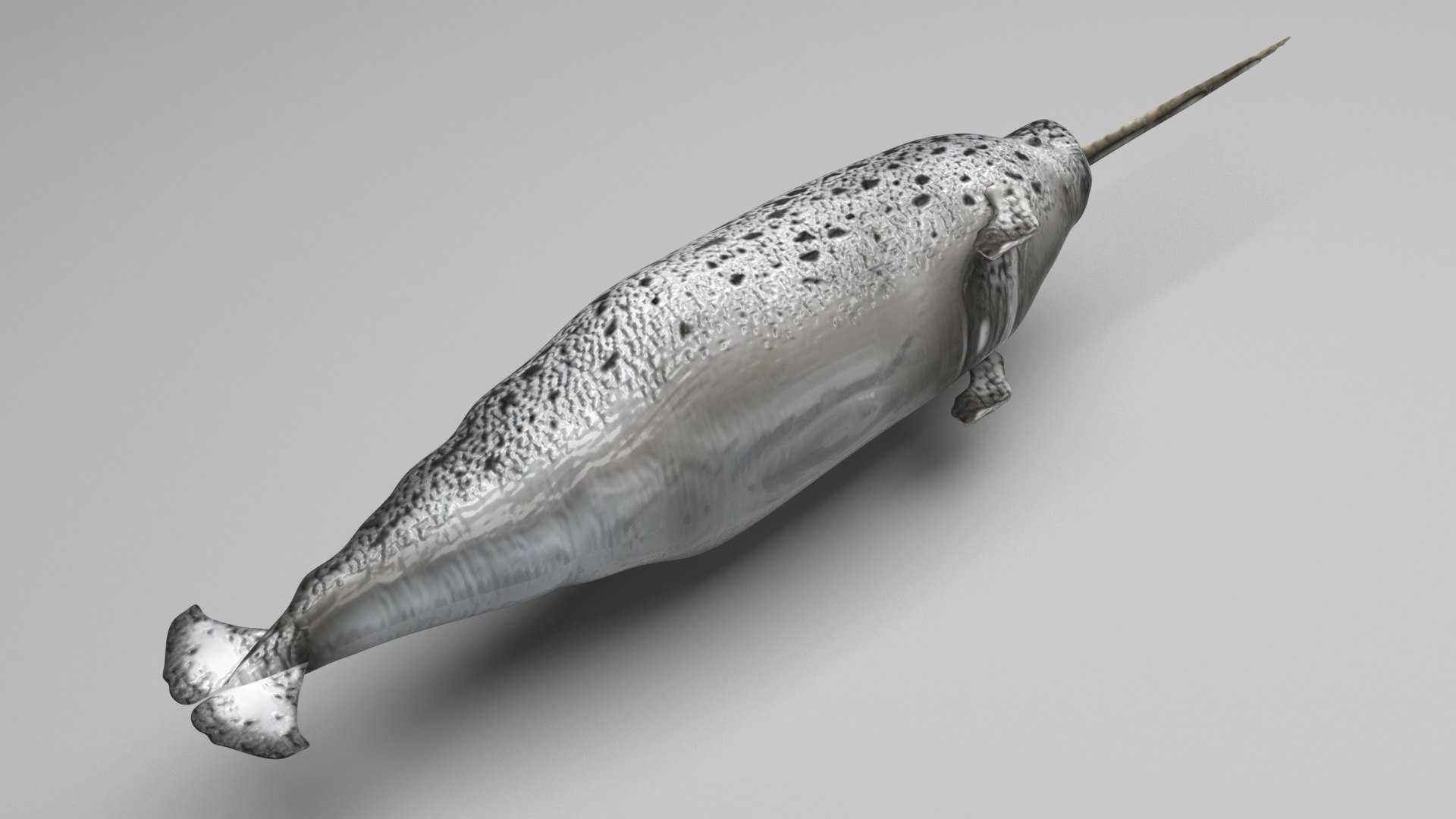 3D Sea Creatures Collection https://p.turbosquid.com/ts-thumb/Ay/DhXSB9/hm/narwhal/jpg/1718302772/1920x1080/fit_q87/38245487e2f48469a26c9ddc24a31673d989f3b8/narwhal.jpg