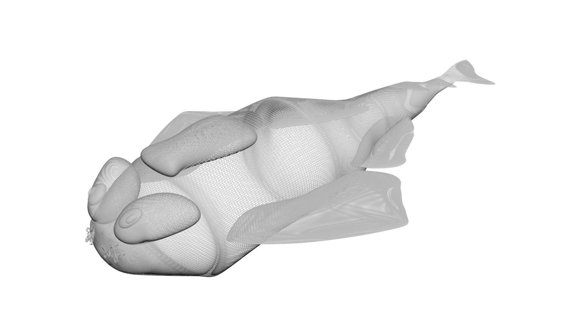 3D Sea Creatures Collection https://p.turbosquid.com/ts-thumb/Ay/DhXSB9/iW/angelshark7/jpg/1718302750/1920x1080/fit_q87/dc79c6bf0965d737ae8b6556e2d993a161ada523/angelshark7.jpg