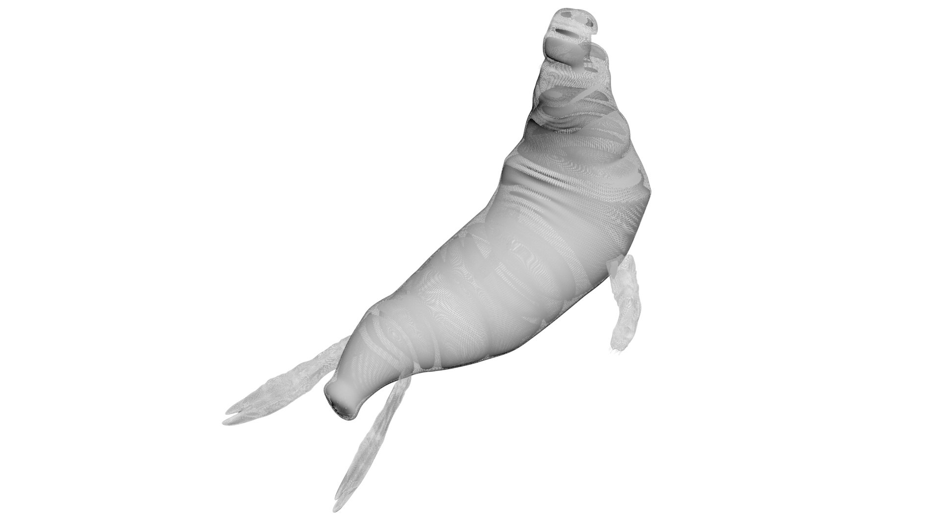 3D Sea Creatures Collection https://p.turbosquid.com/ts-thumb/Ay/DhXSB9/r2/elephantseal18/jpg/1718302680/1920x1080/fit_q87/1bcd1059f1bff5922ef195484a26321907ad6a40/elephantseal18.jpg