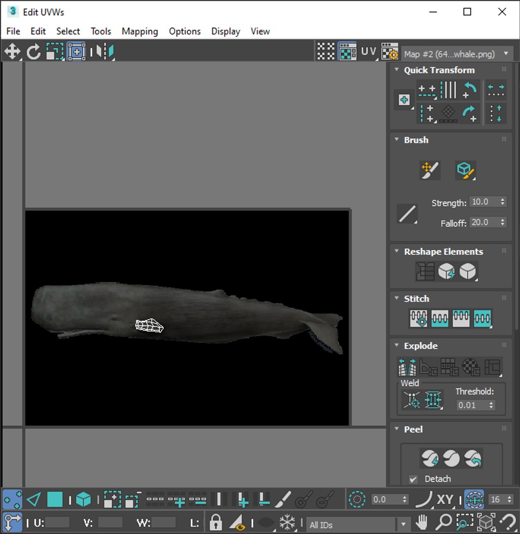 3D Sea Creatures Collection https://p.turbosquid.com/ts-thumb/Ay/DhXSB9/rb/screenshot20230630105856/png/1718303339/1920x1080/fit_q87/b5fe8a77088c0a35e148f6e3e472438372b9cbbe/screenshot20230630105856.jpg