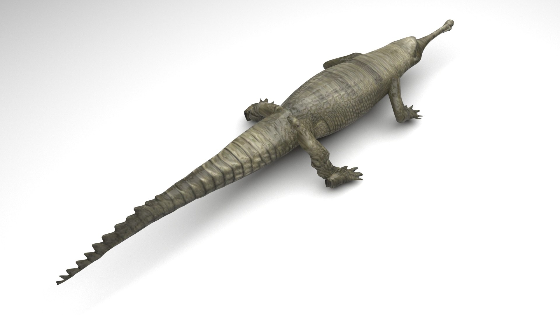 3D Sea Creatures Collection https://p.turbosquid.com/ts-thumb/Ay/DhXSB9/sm/crocodilenew/jpg/1718303285/1920x1080/fit_q87/752cc1ea1977d7b9e426ff32c192cab70e6ca0b2/crocodilenew.jpg