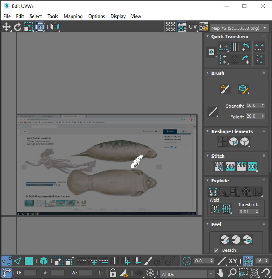 3D Sea Creatures Collection https://p.turbosquid.com/ts-thumb/Ay/DhXSB9/uJ/screenshot20230705004502/png/1718303350/1920x1080/fit_q87/24cbc37534f7c4c5aefd086b384526d7c1a7f027/screenshot20230705004502.jpg