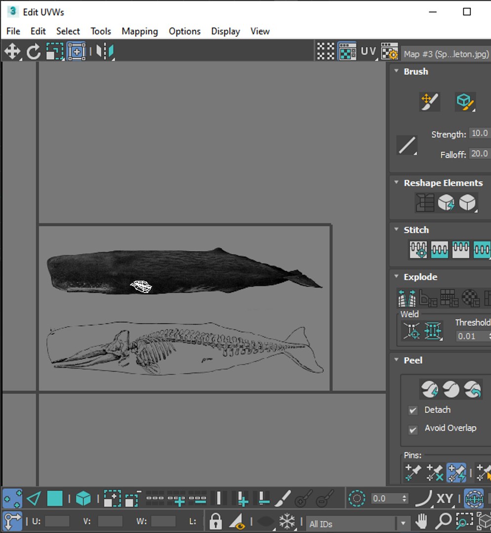 3D Sea Creatures Collection https://p.turbosquid.com/ts-thumb/Ay/DhXSB9/vP/screenshot20230701002236/png/1718303342/1920x1080/fit_q87/cb7e8947d7644a0e7983f08504f56ca2c2bcb1c7/screenshot20230701002236.jpg